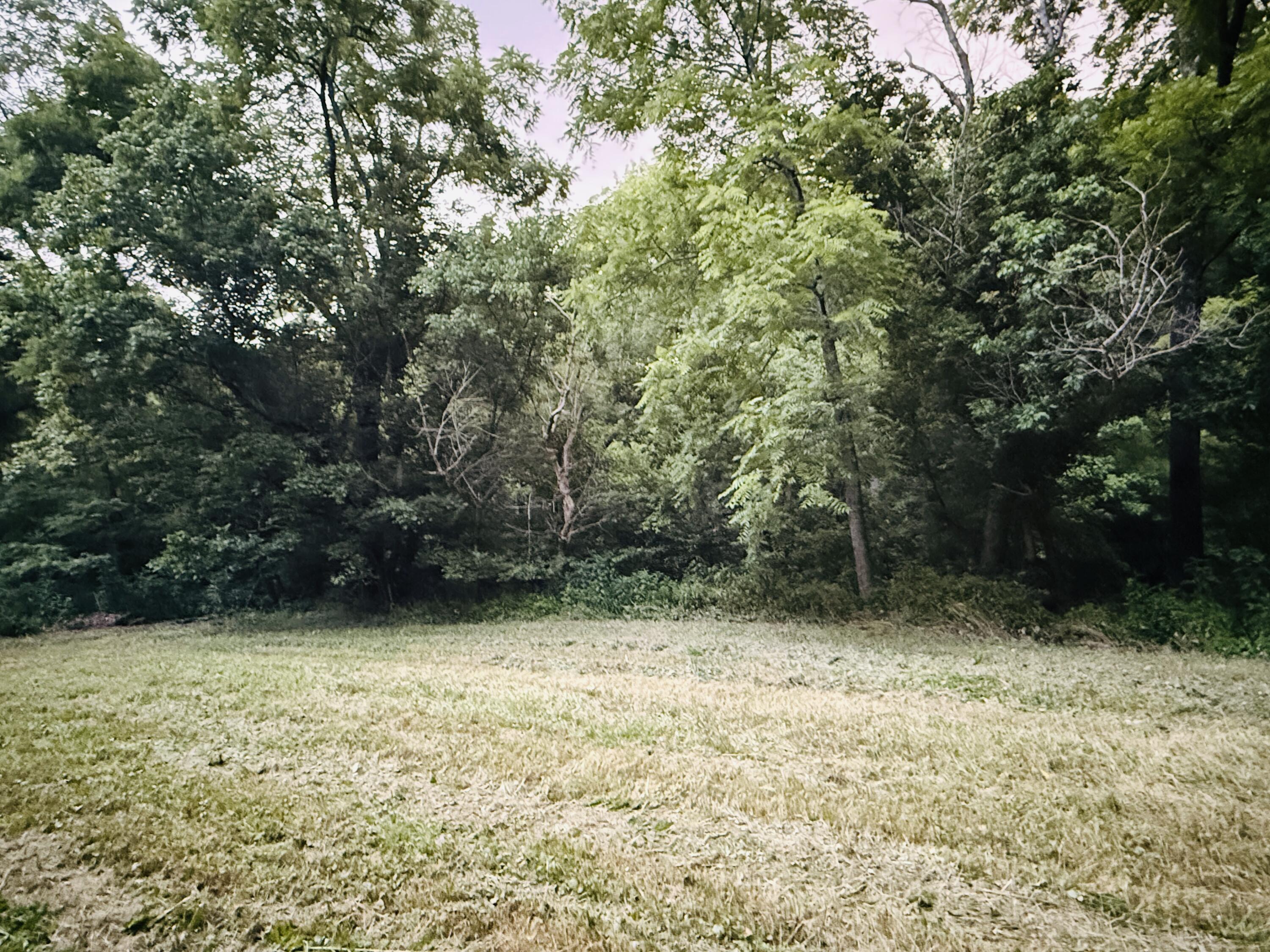 1231 Pleasant Grove Ridge Road Property Photo 30