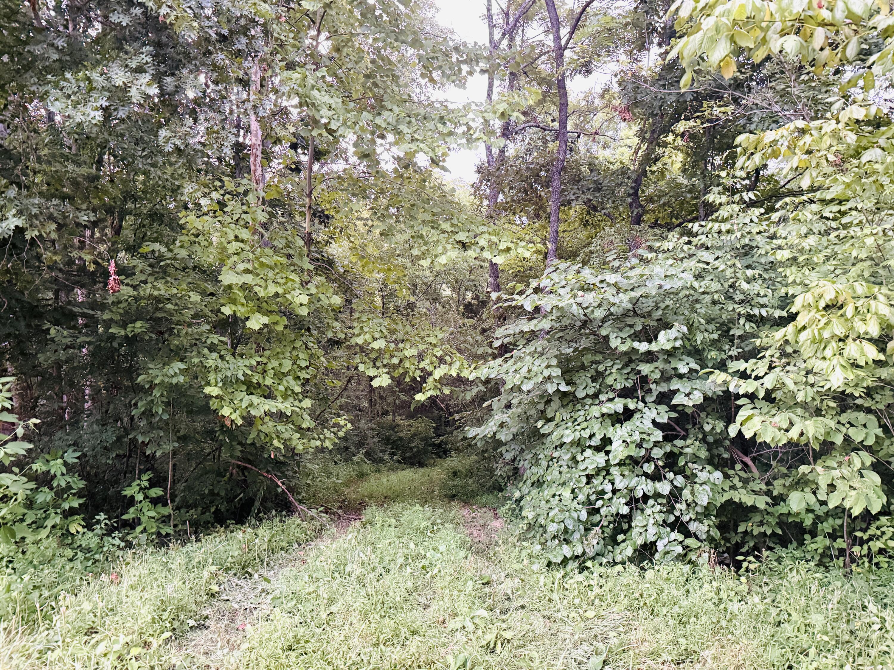1231 Pleasant Grove Ridge Road Property Photo 35