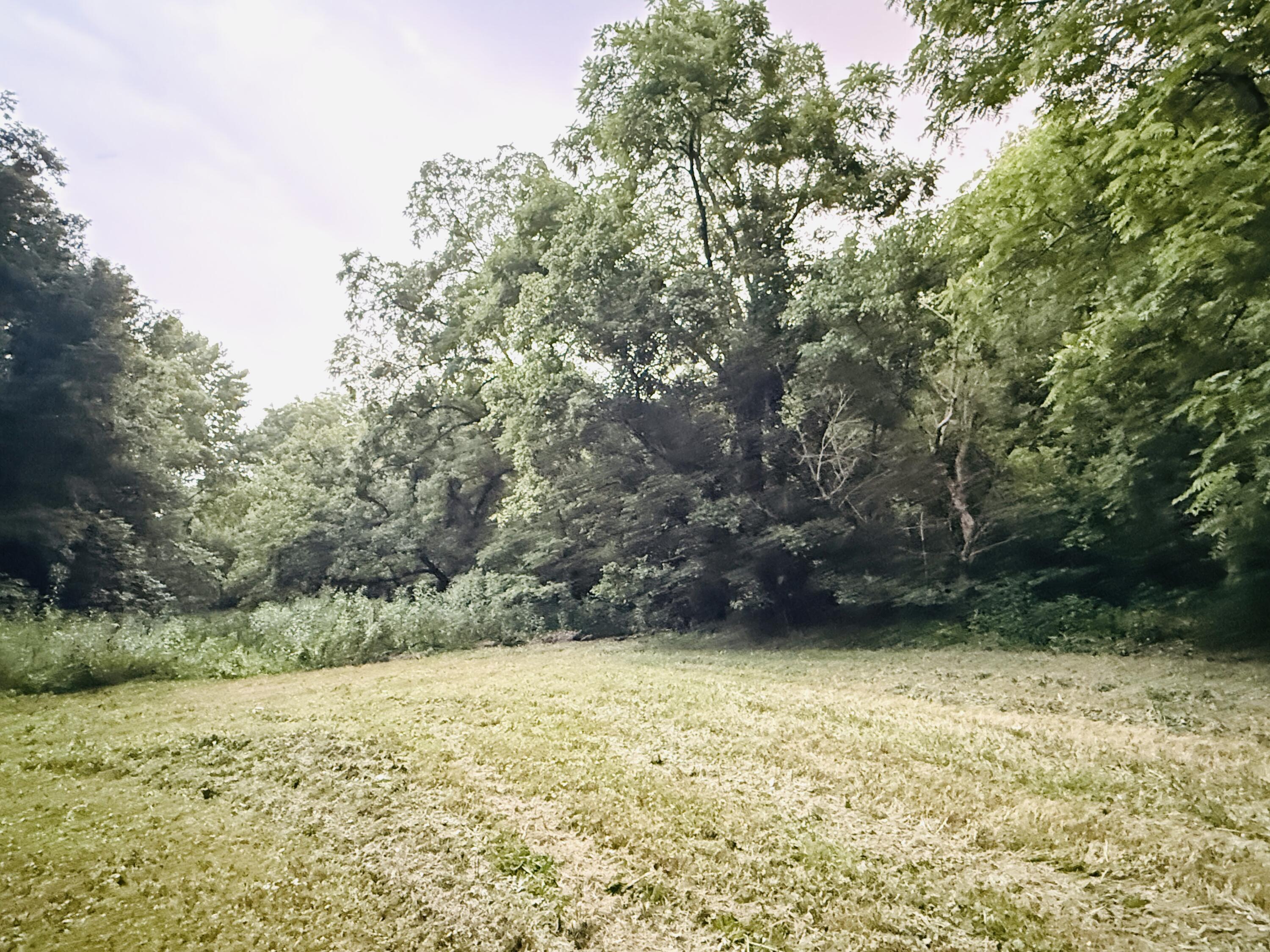 1231 Pleasant Grove Ridge Road Property Photo 36