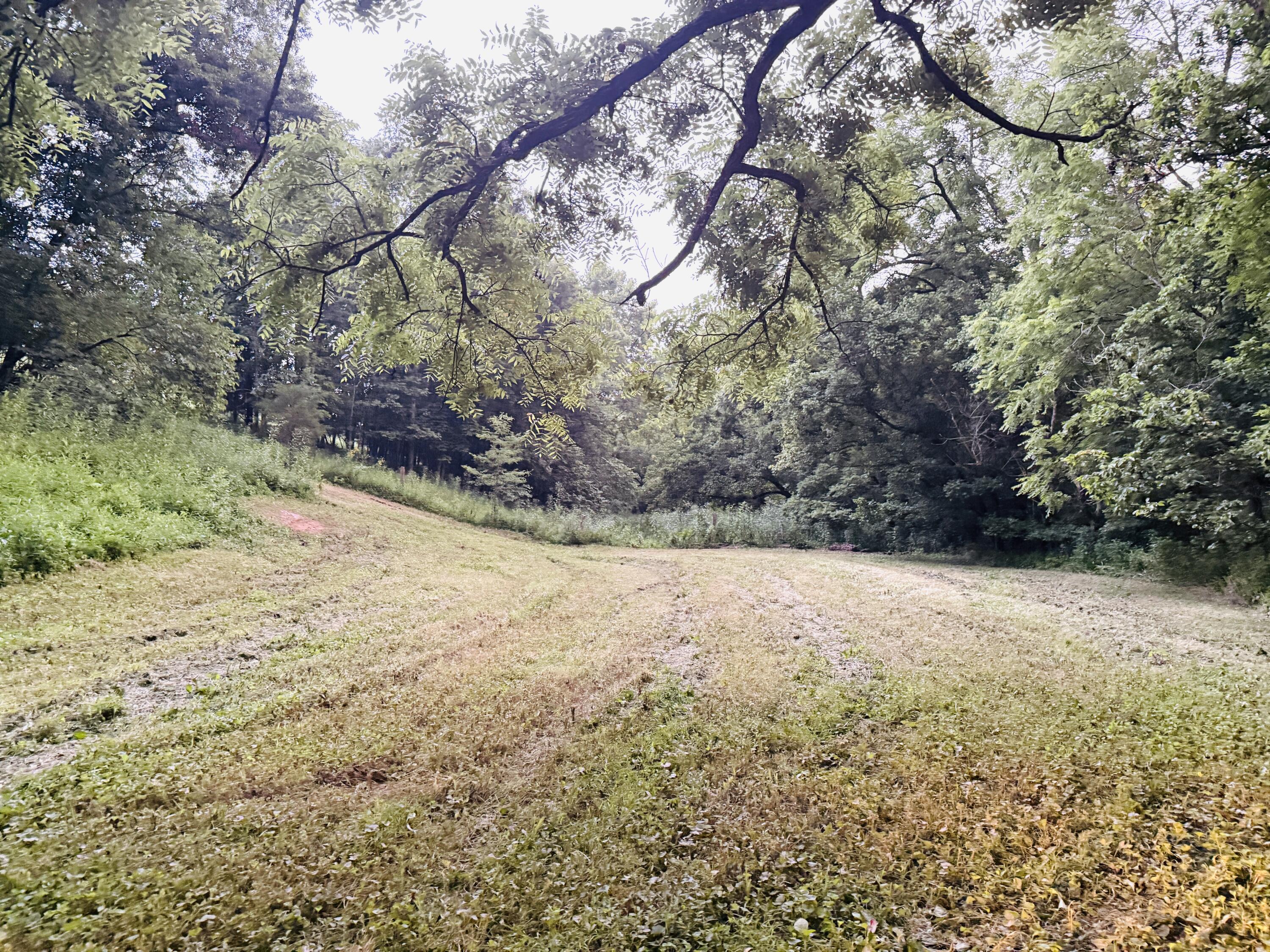 1231 Pleasant Grove Ridge Road Property Photo 37