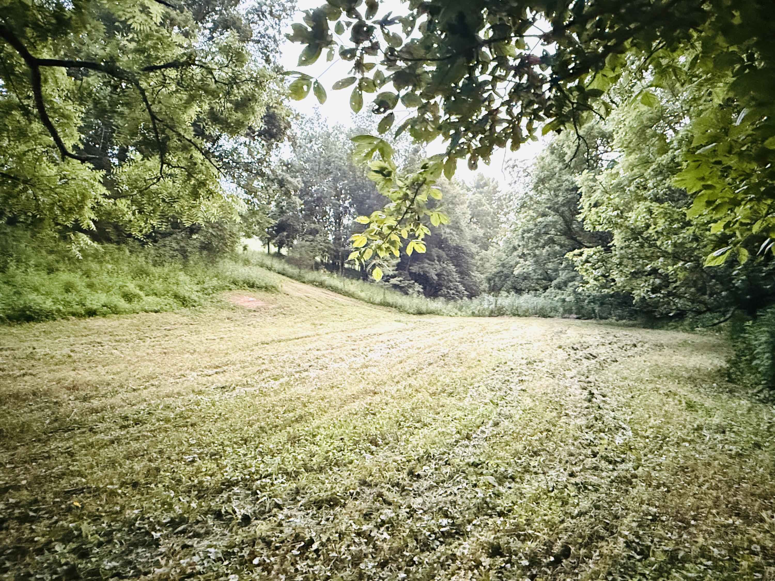 1231 Pleasant Grove Ridge Road Property Photo 39