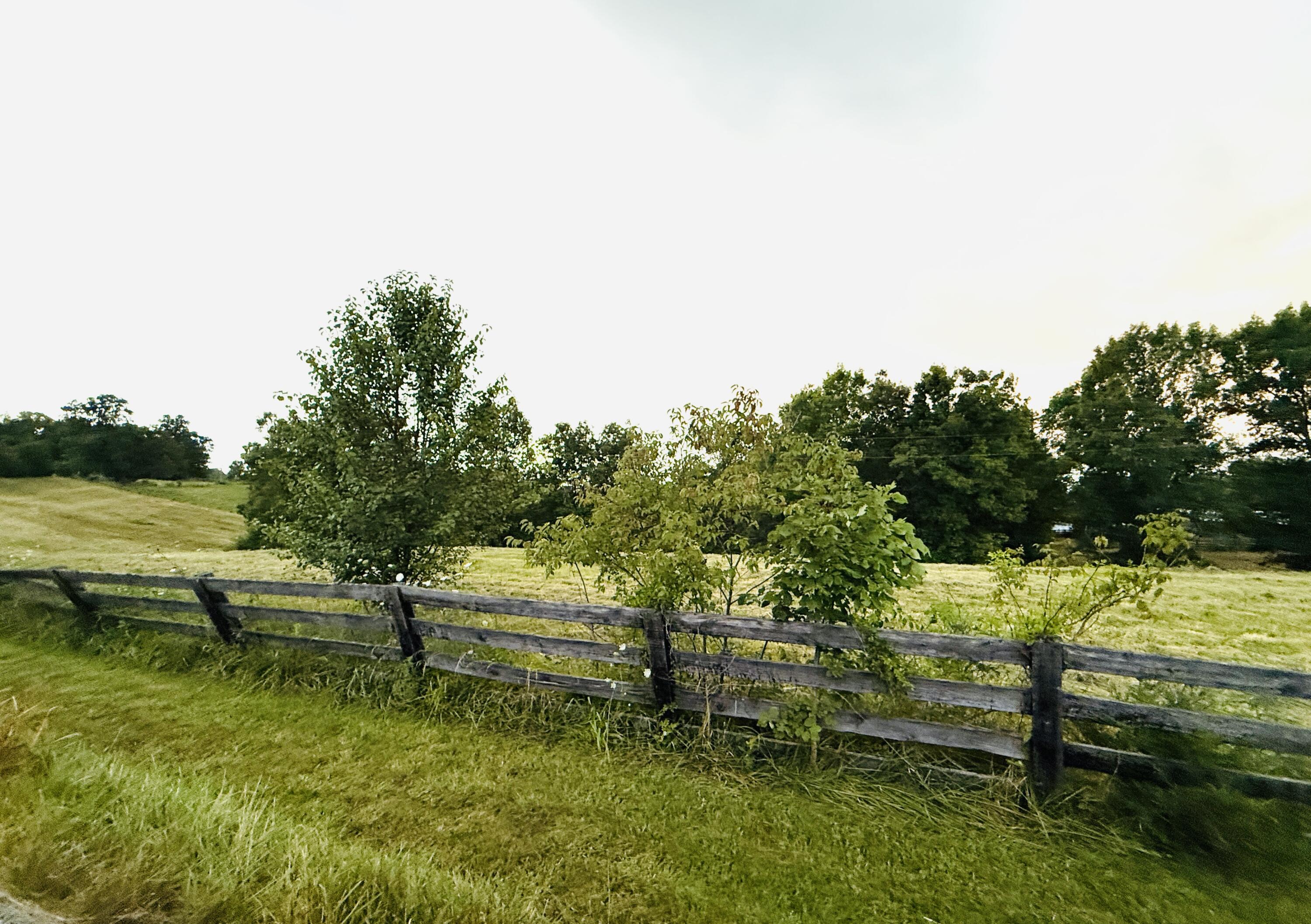 1231 Pleasant Grove Ridge Road Property Photo 42