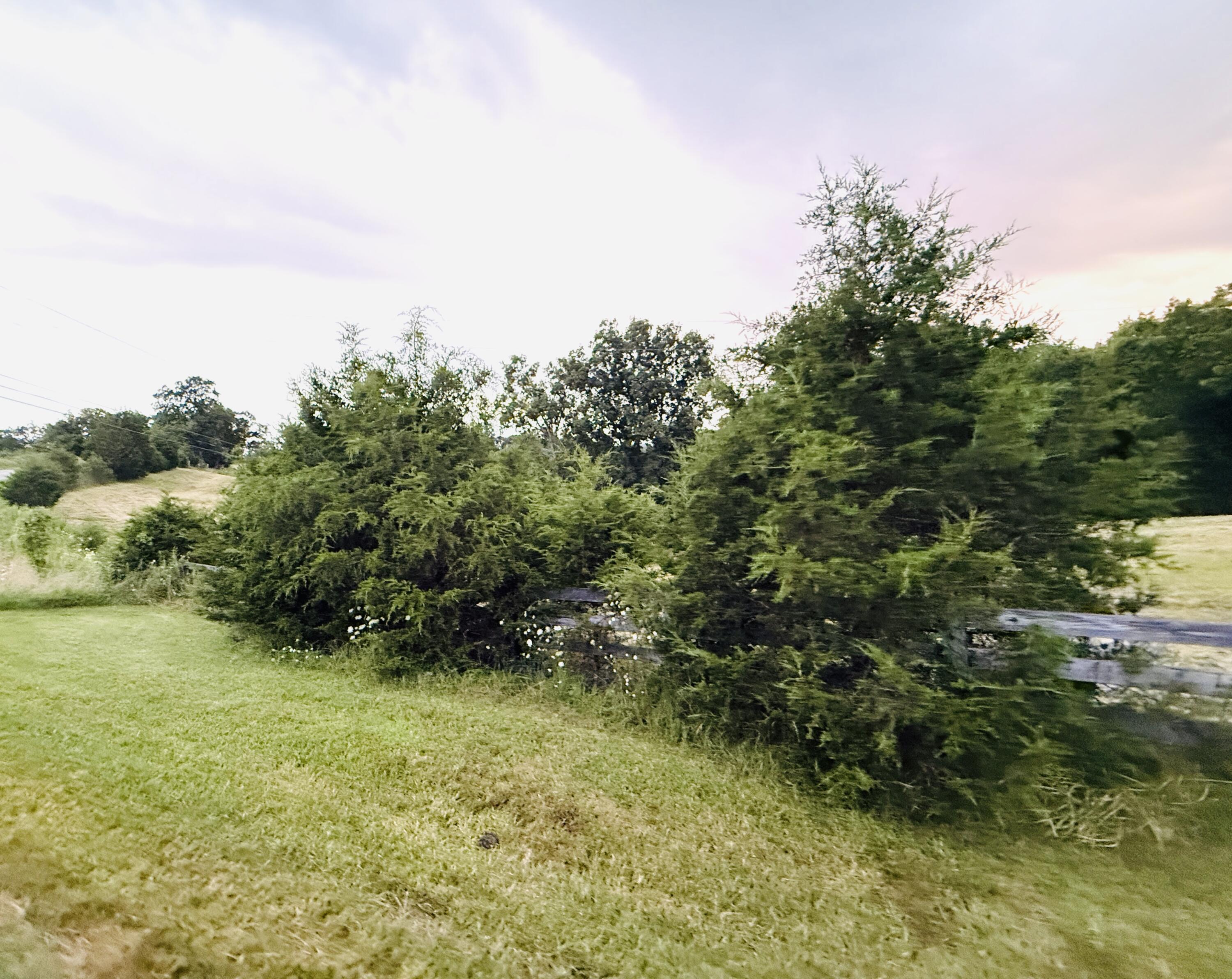 1231 Pleasant Grove Ridge Road Property Photo 44