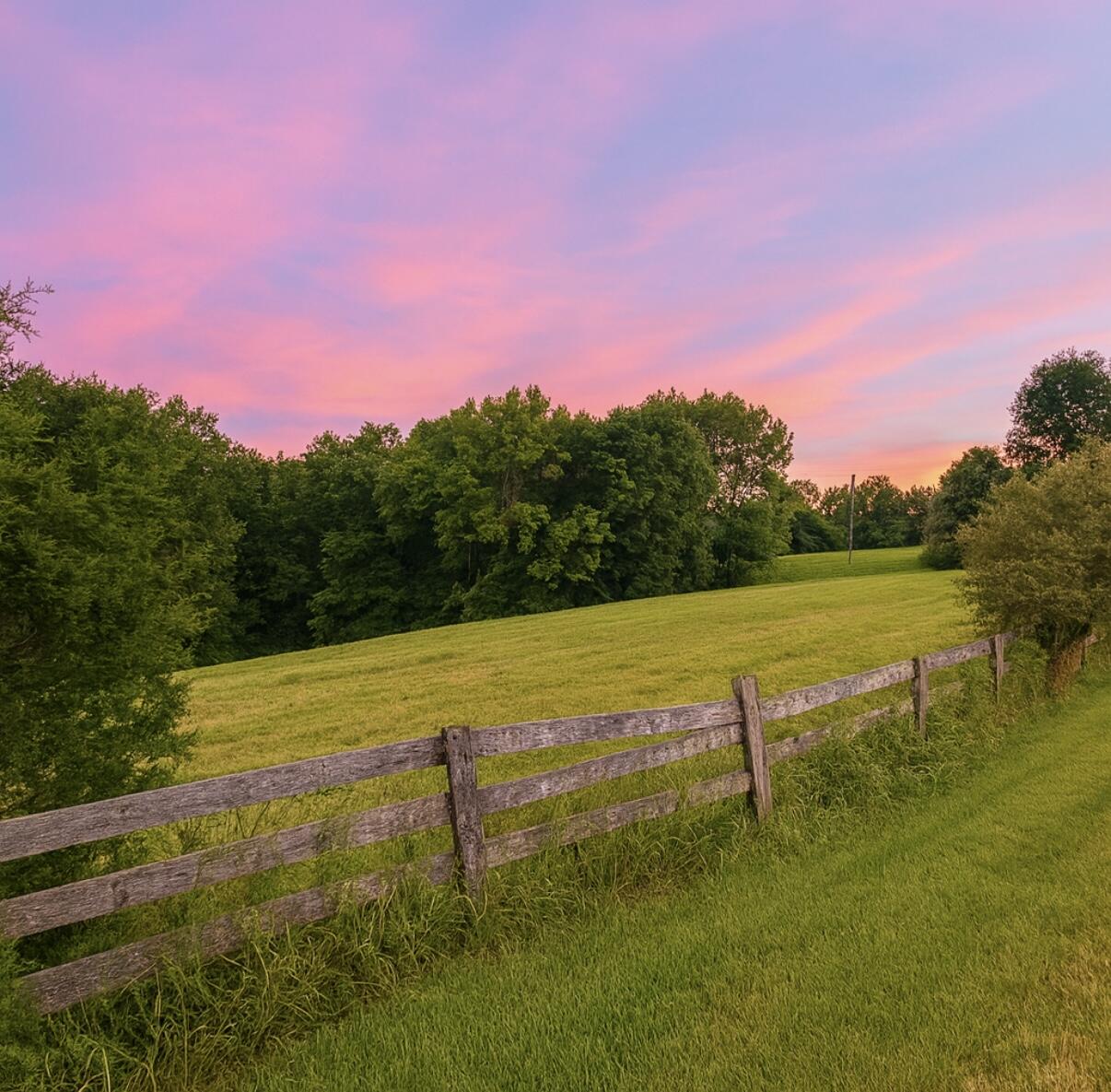 1231 Pleasant Grove Ridge Road Property Photo 45