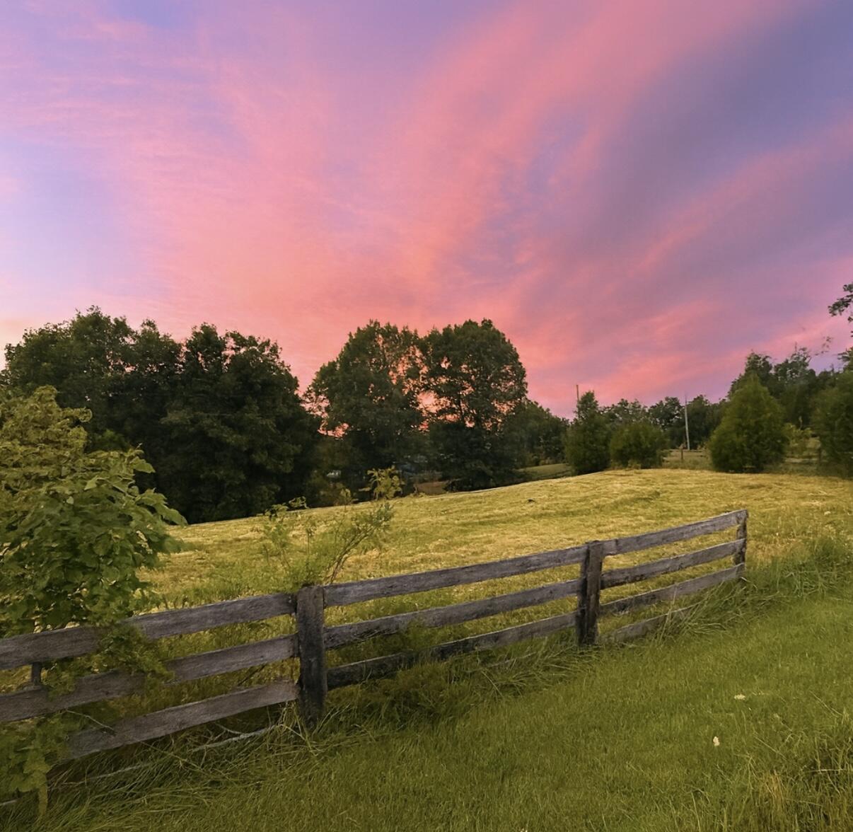 1231 Pleasant Grove Ridge Road Property Photo 47