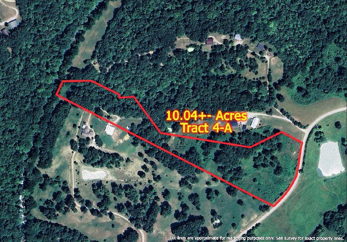 1231 Pleasant Grove Ridge Road Property Photo 4