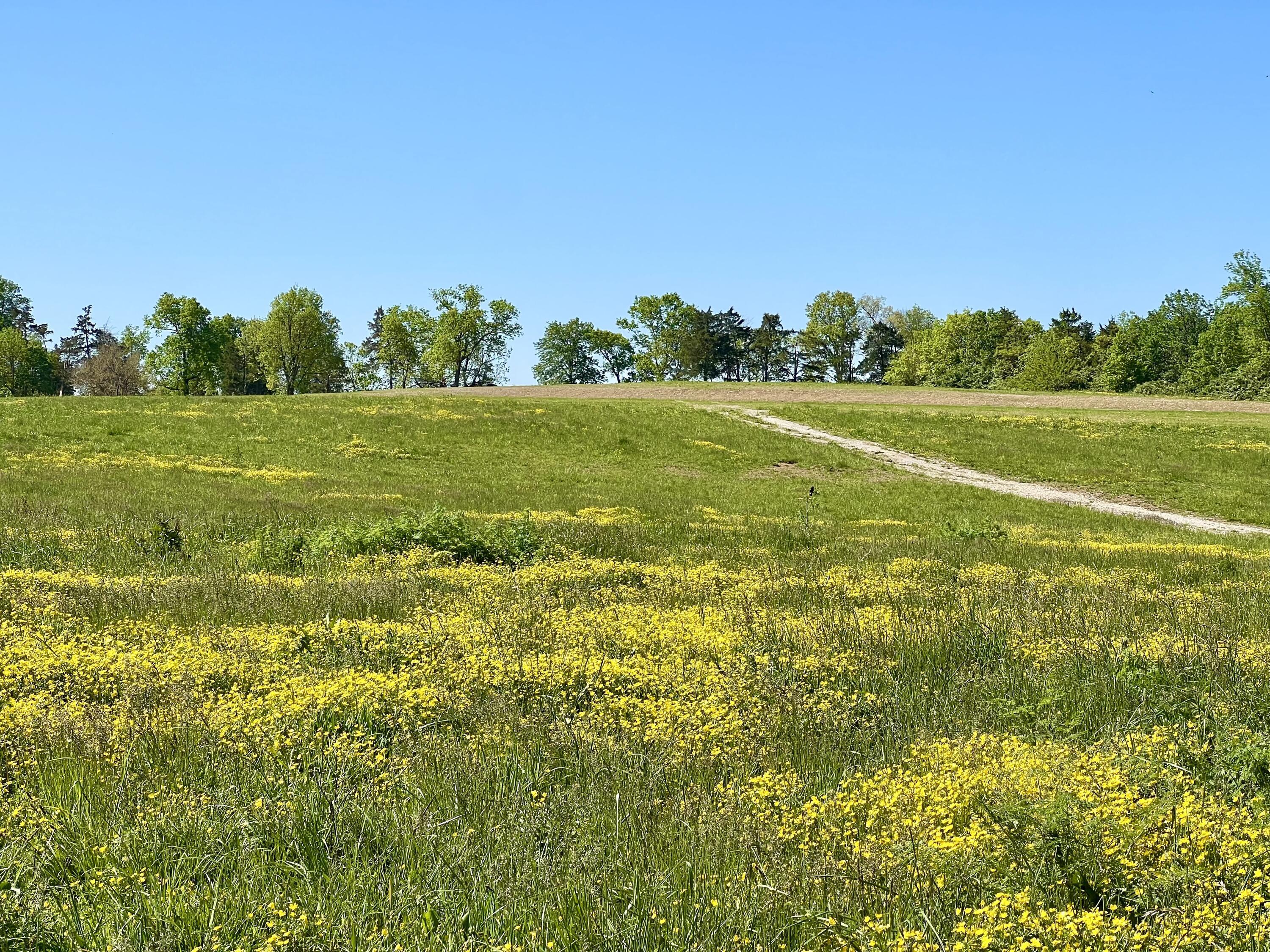 401 Appaloosa Trail Lot 17 Property Photo 1