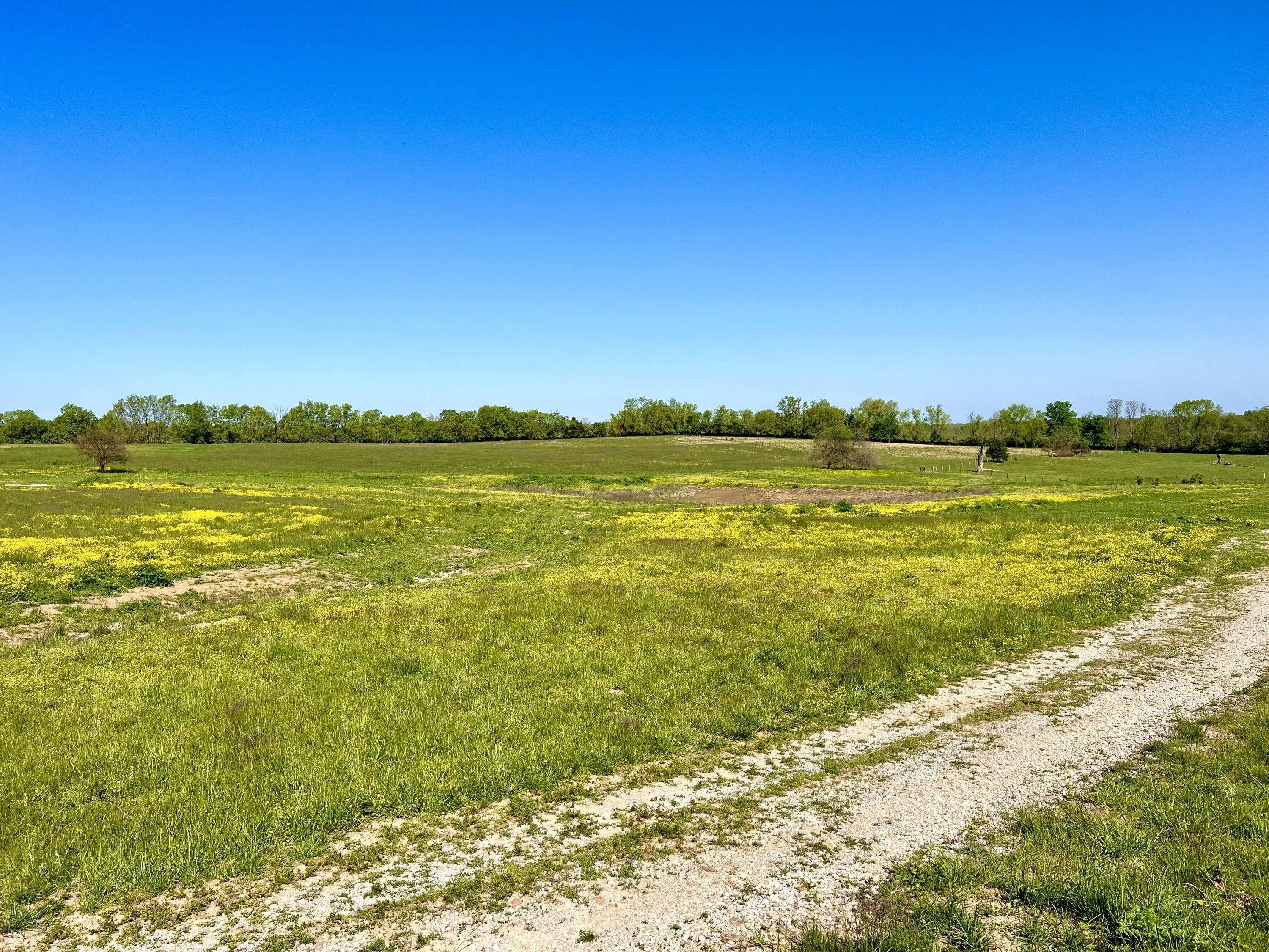 401 Appaloosa Trail Lot 17 Property Photo 12