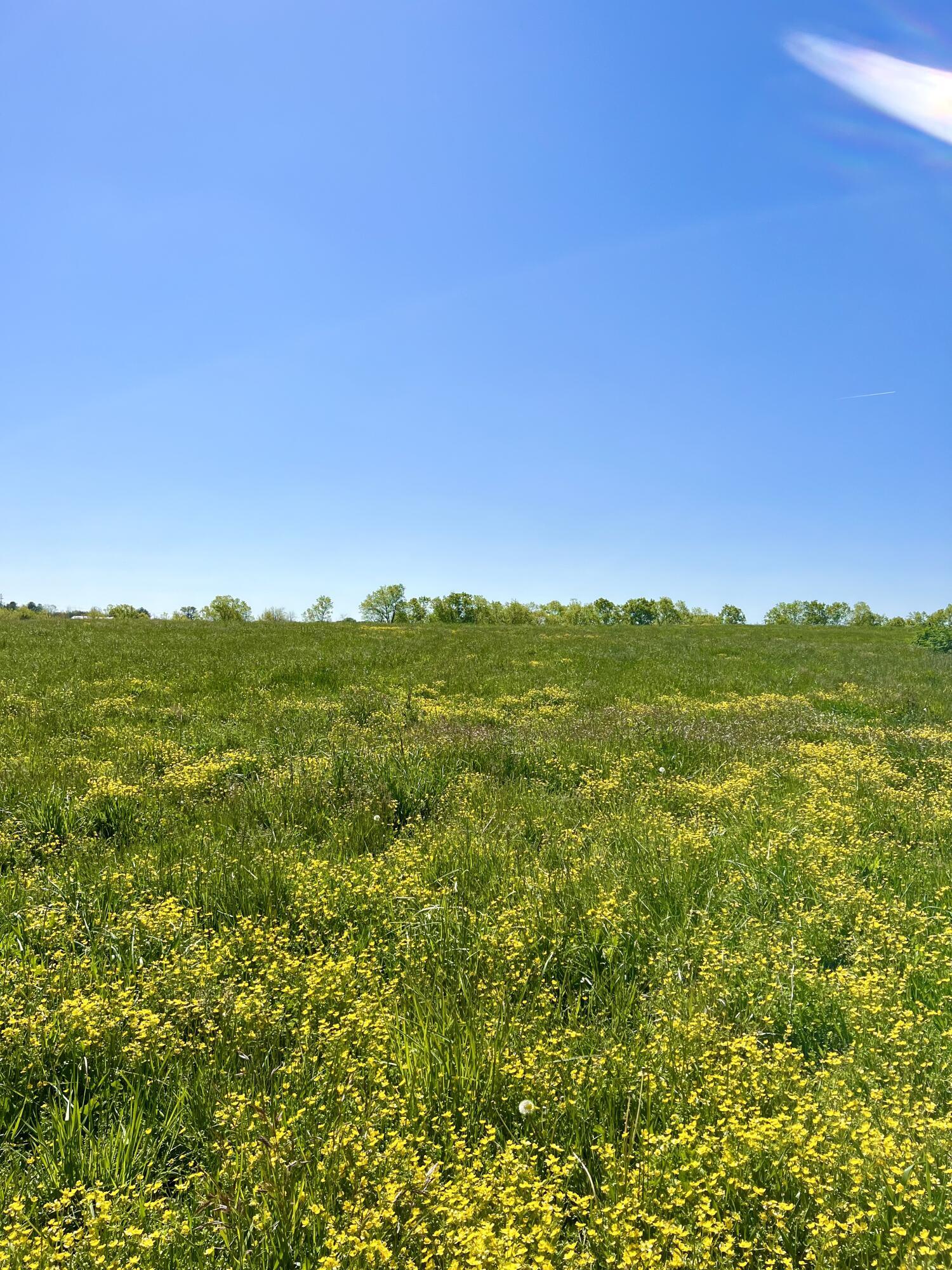 401 Appaloosa Trail Lot 17 Property Photo 13