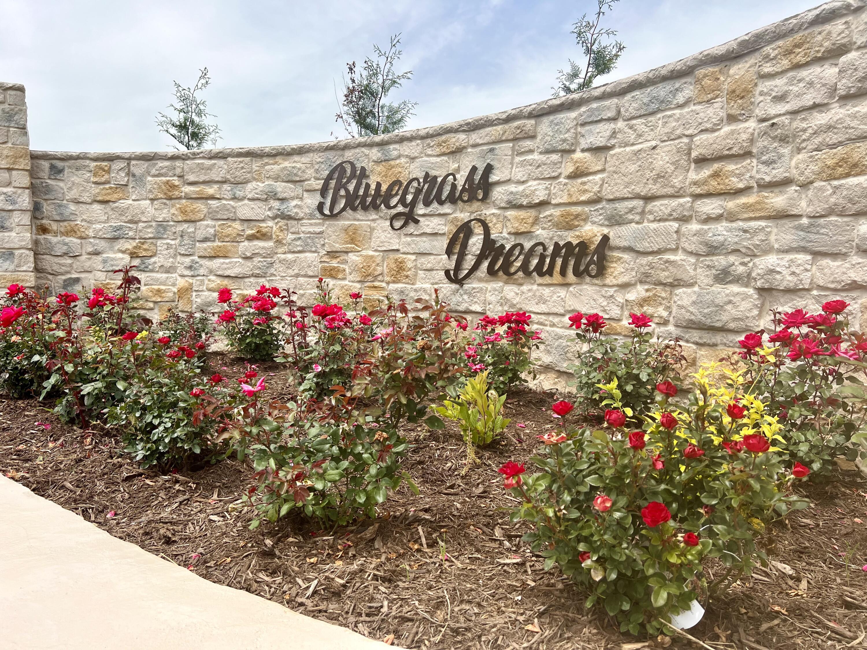 401 Appaloosa Trail Lot 17 Property Photo 15