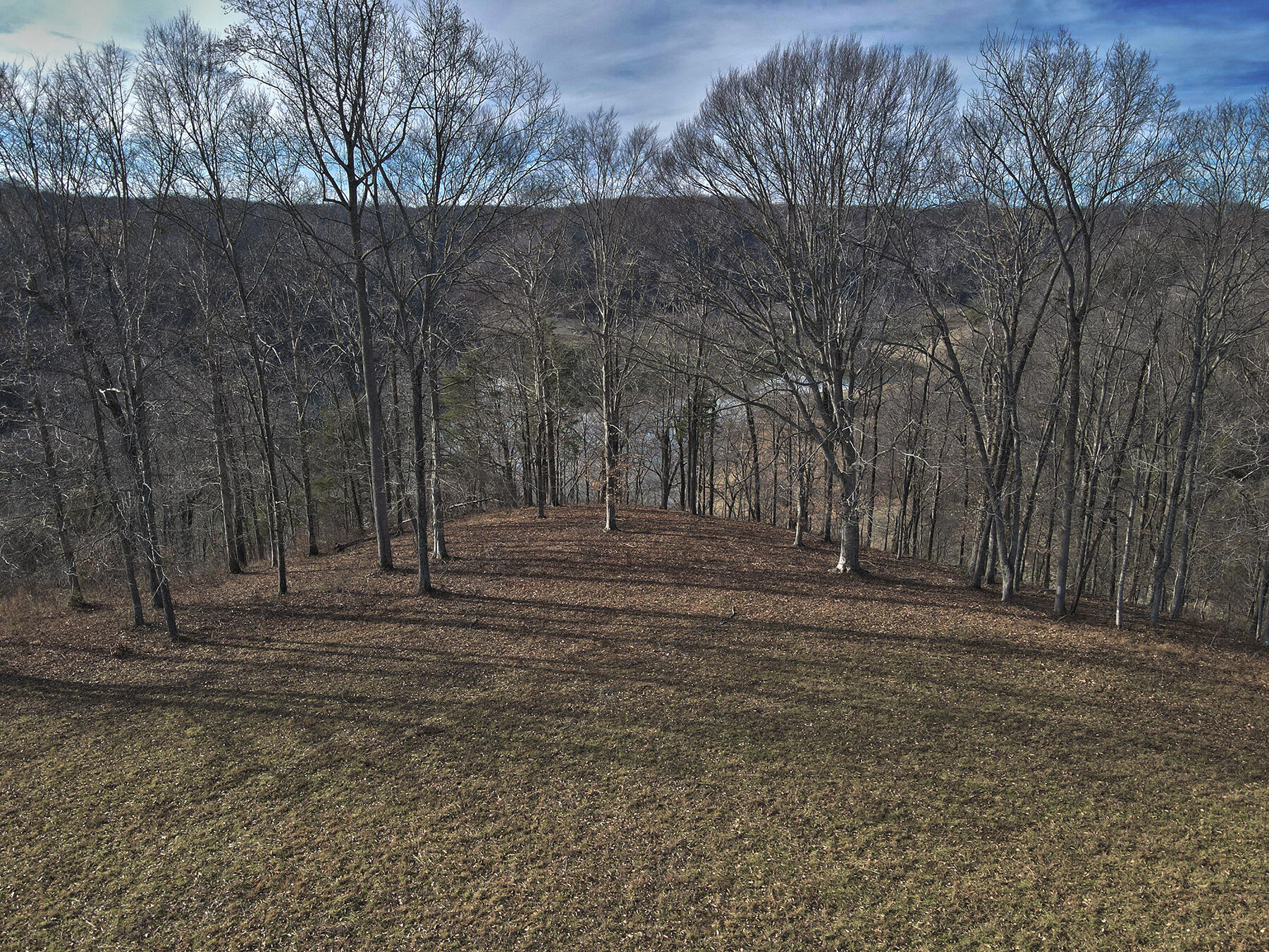 100 Dockery Road Property Photo 6