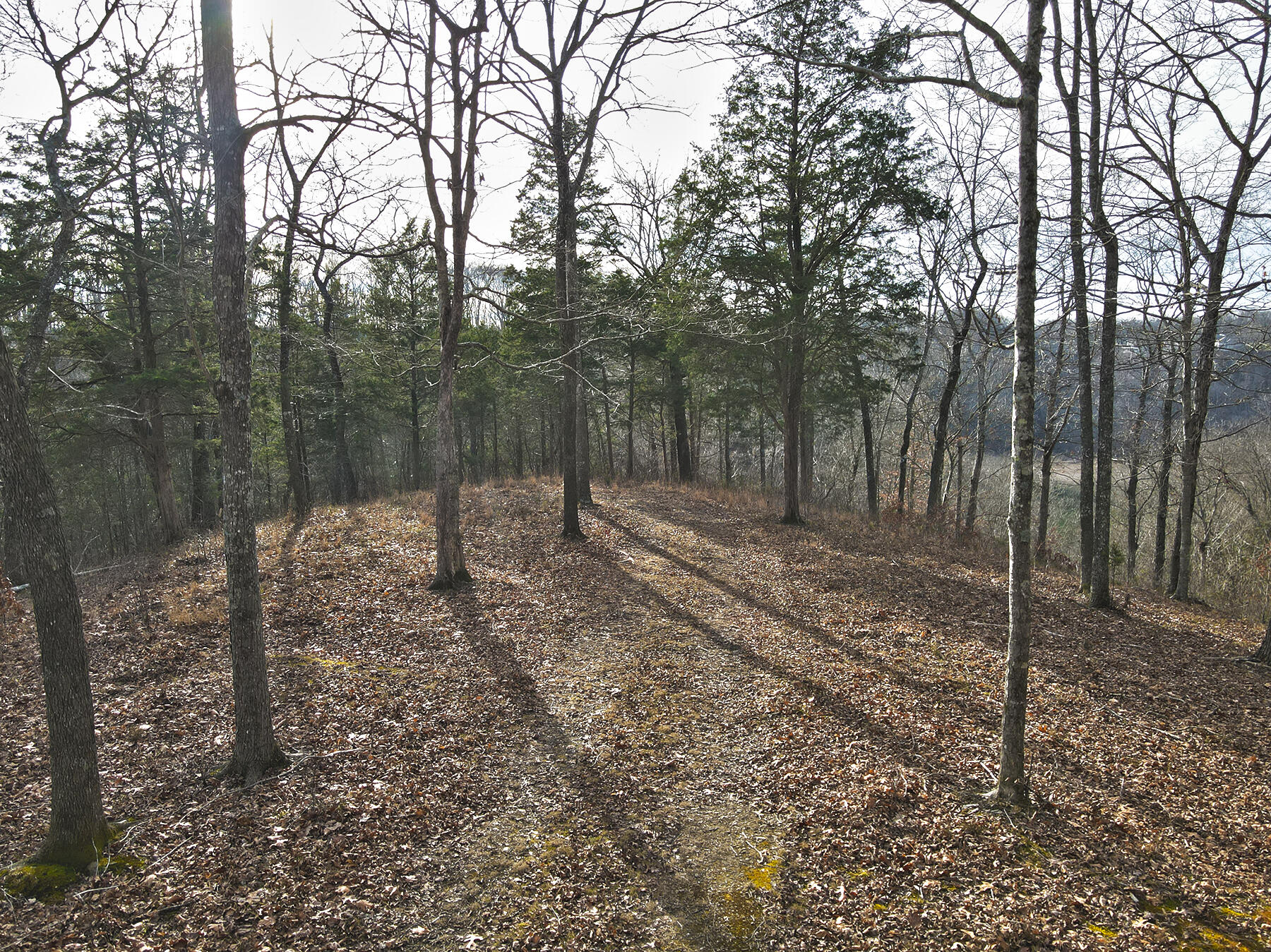 100 Dockery Road Property Photo 15