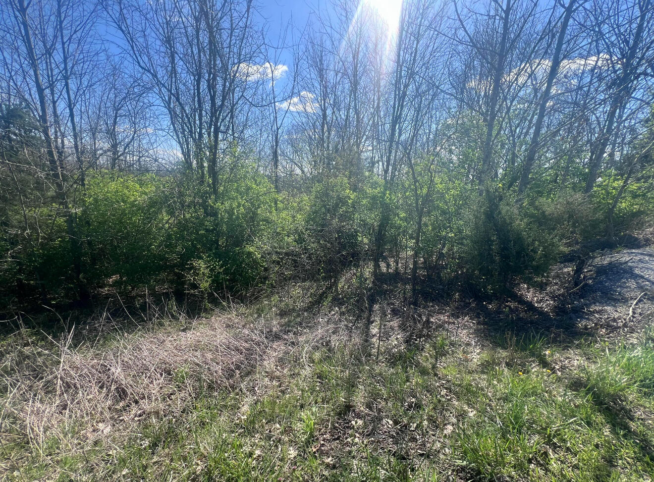 0 Tom Hackley Road Property Photo 1