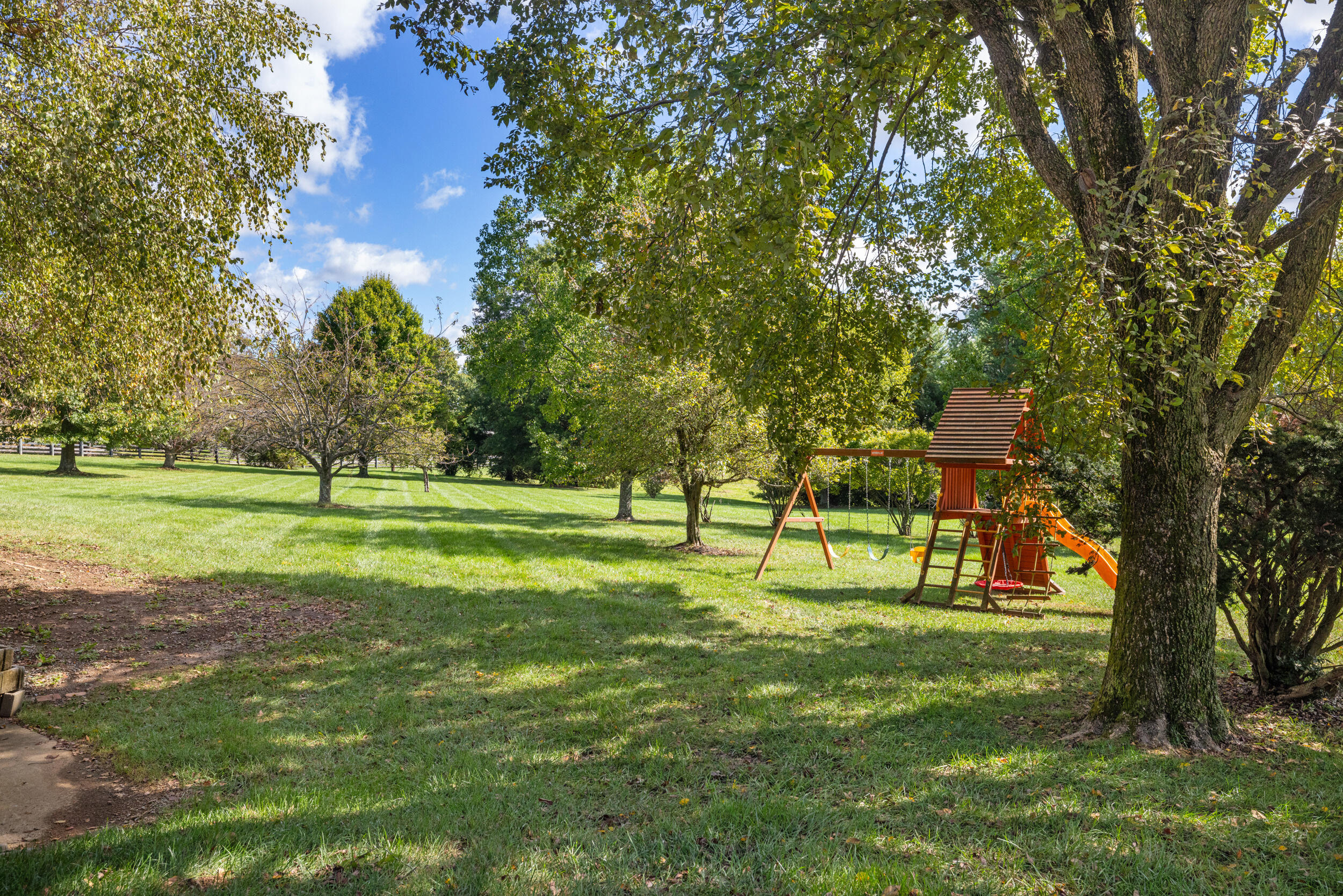 229 Harp Innis Road Property Photo 81