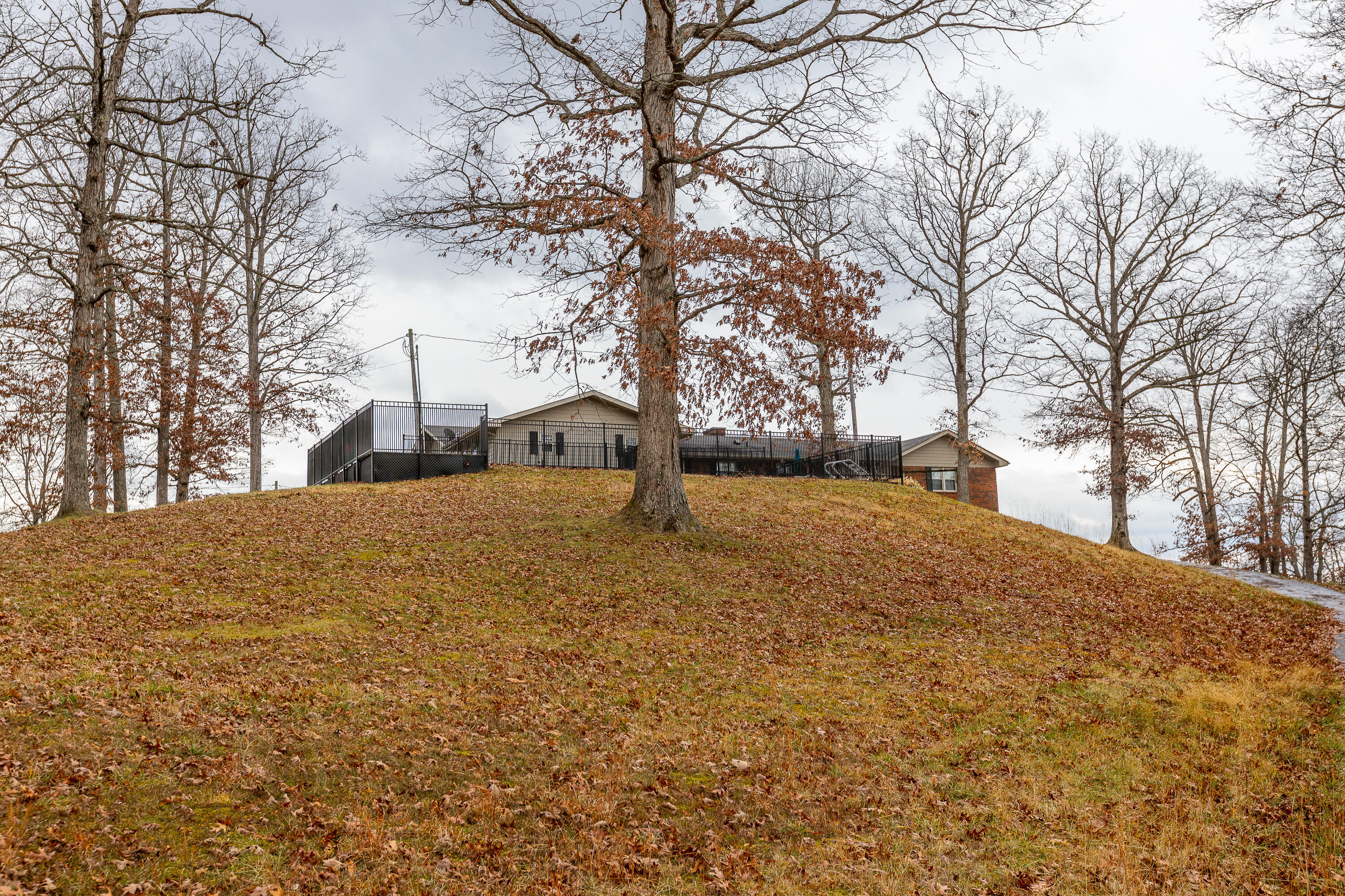 463 Hutchinson Road Property Photo 42