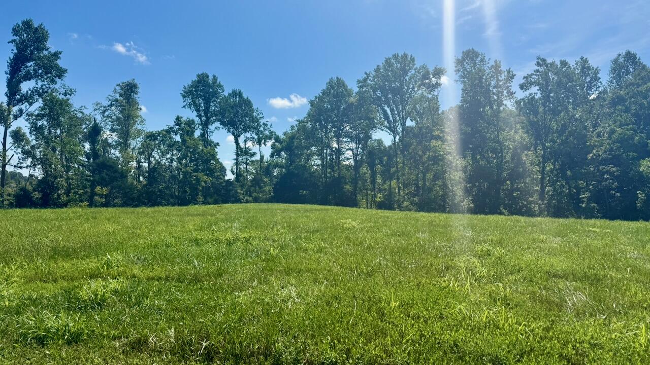 162 Douglas Road Property Photo 2