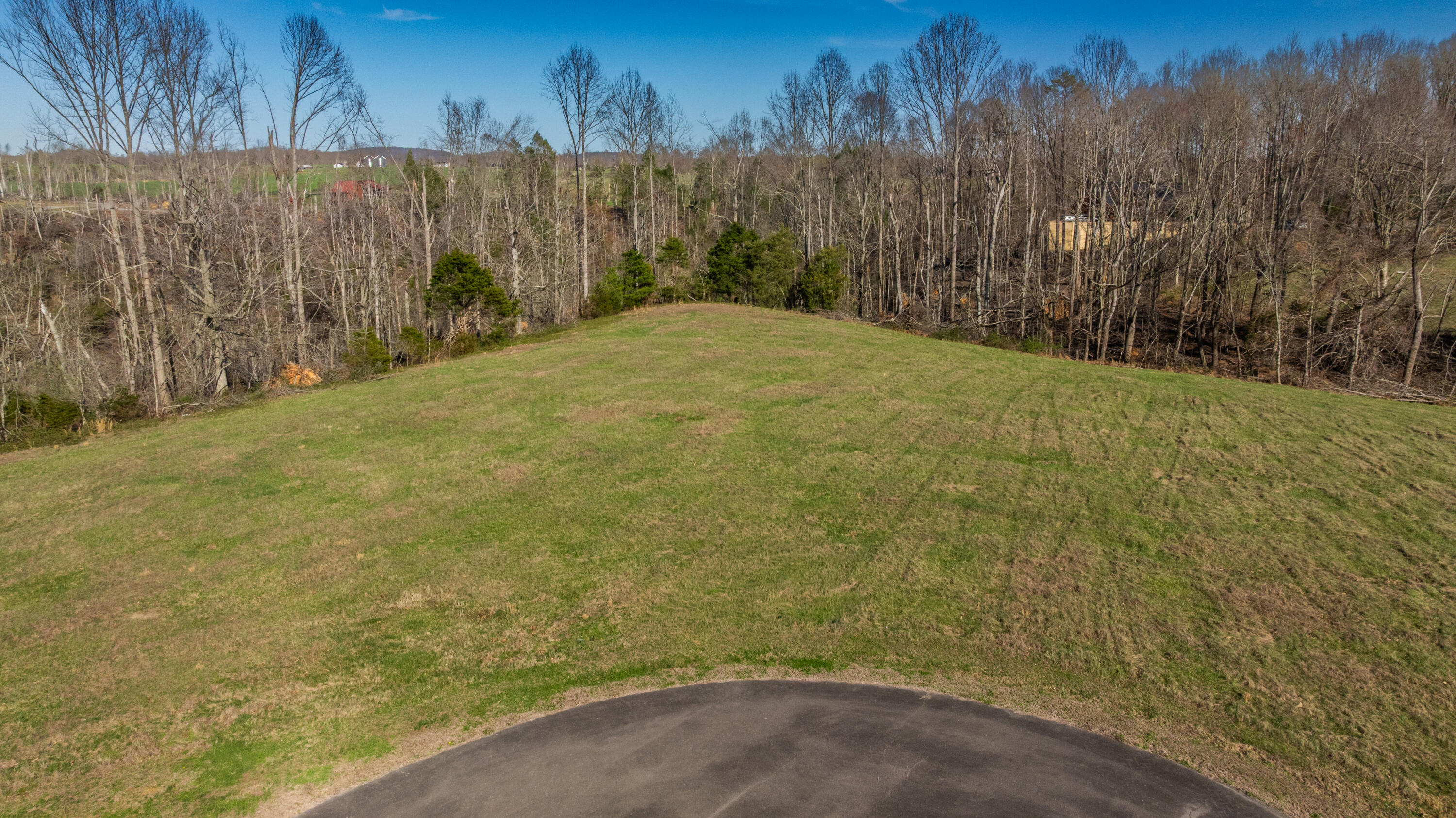 162 Douglas Road Property Photo 7
