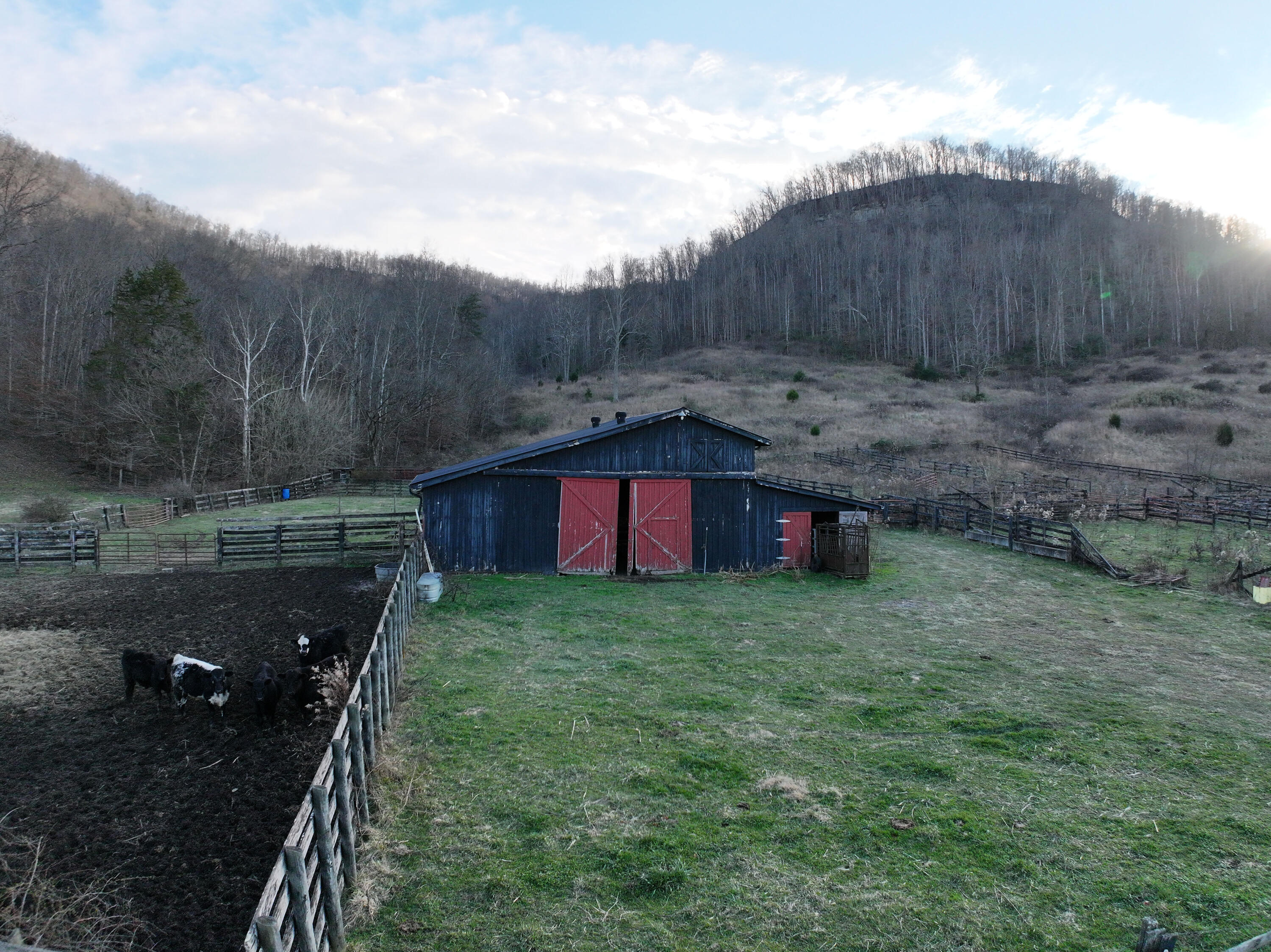 9999 Red Lick Property Photo 18