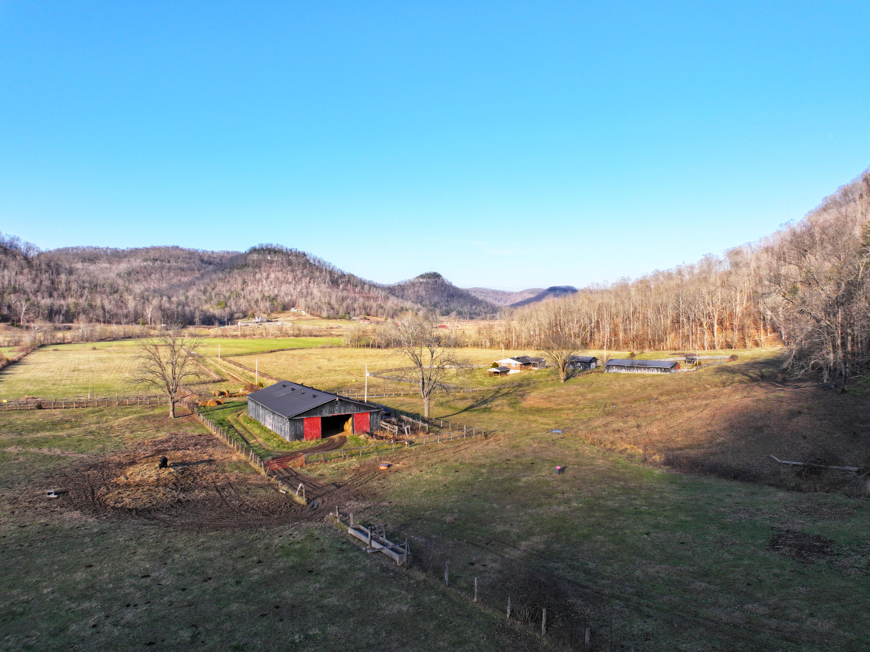 9999 Red Lick Property Photo 37