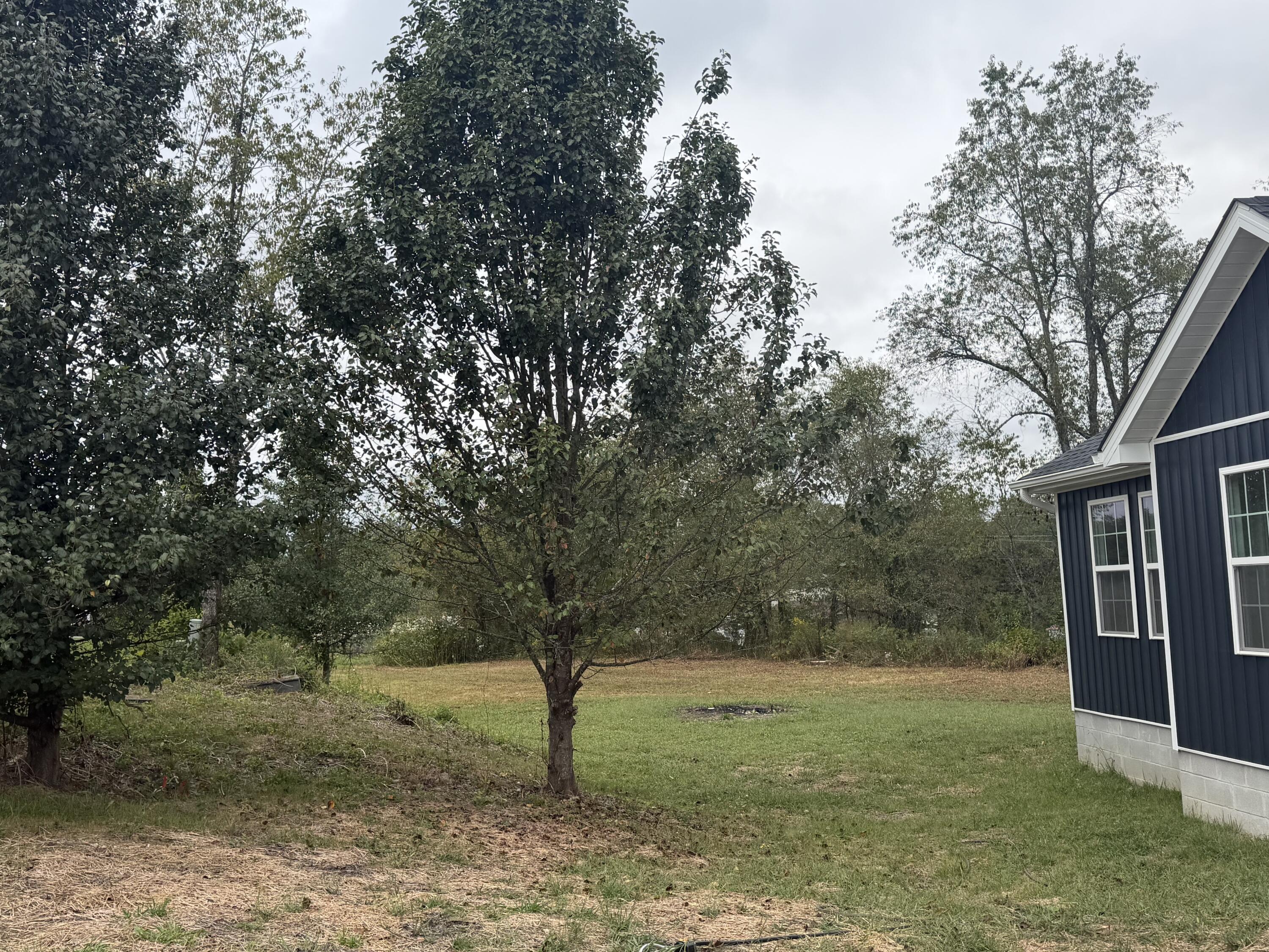 76 Autumn Drive Property Photo 19