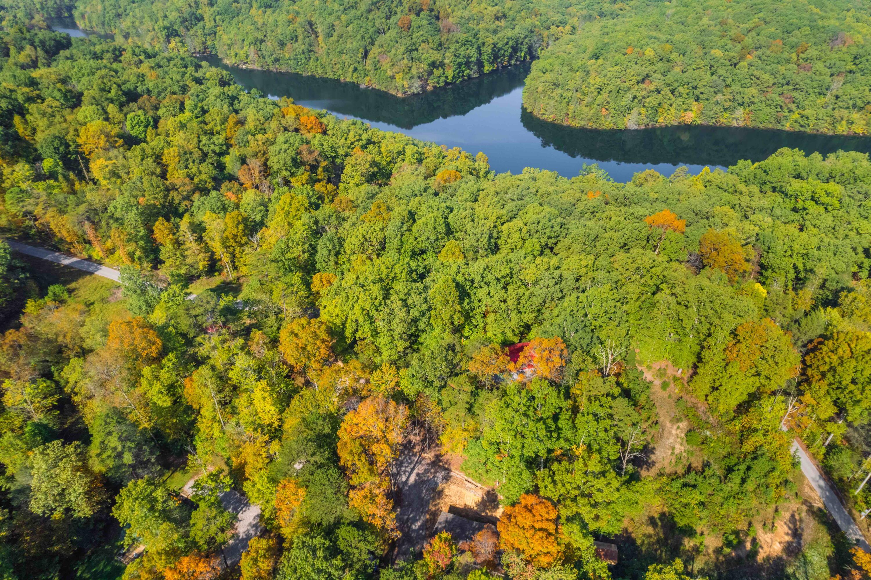 999 Rockcastle River Forestry Road Property Photo 4