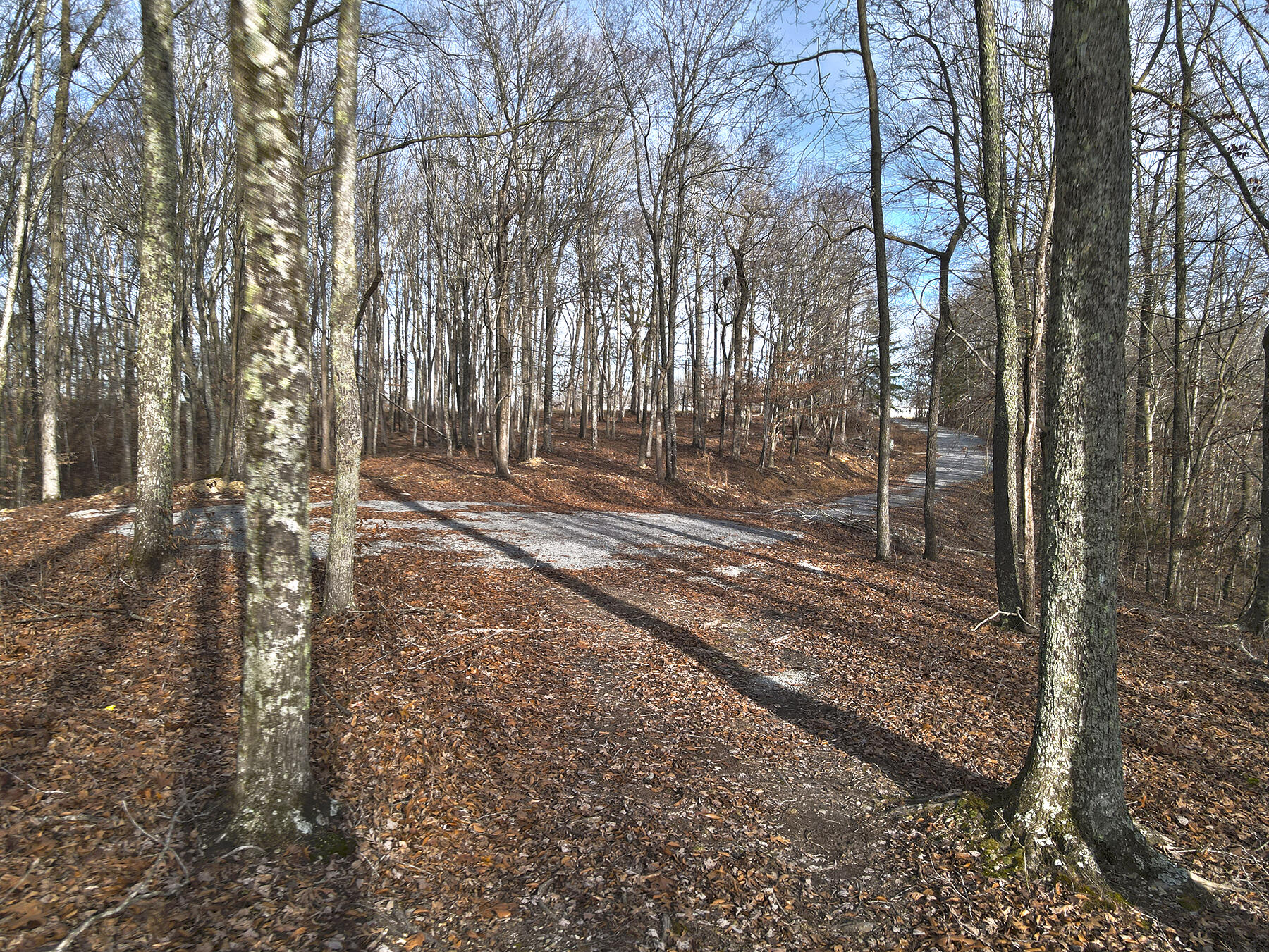 45 Carson Road Property Photo 1
