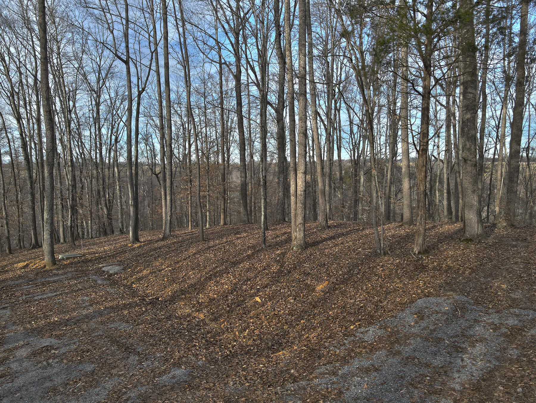 47 Carson Road Property Photo 1