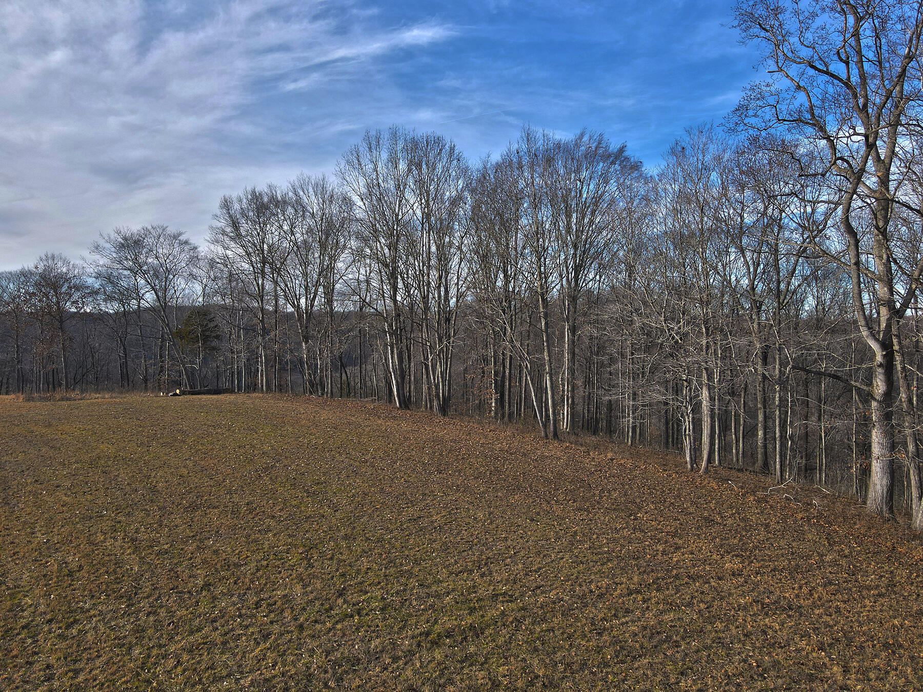 8 Dockery Road Property Photo 7