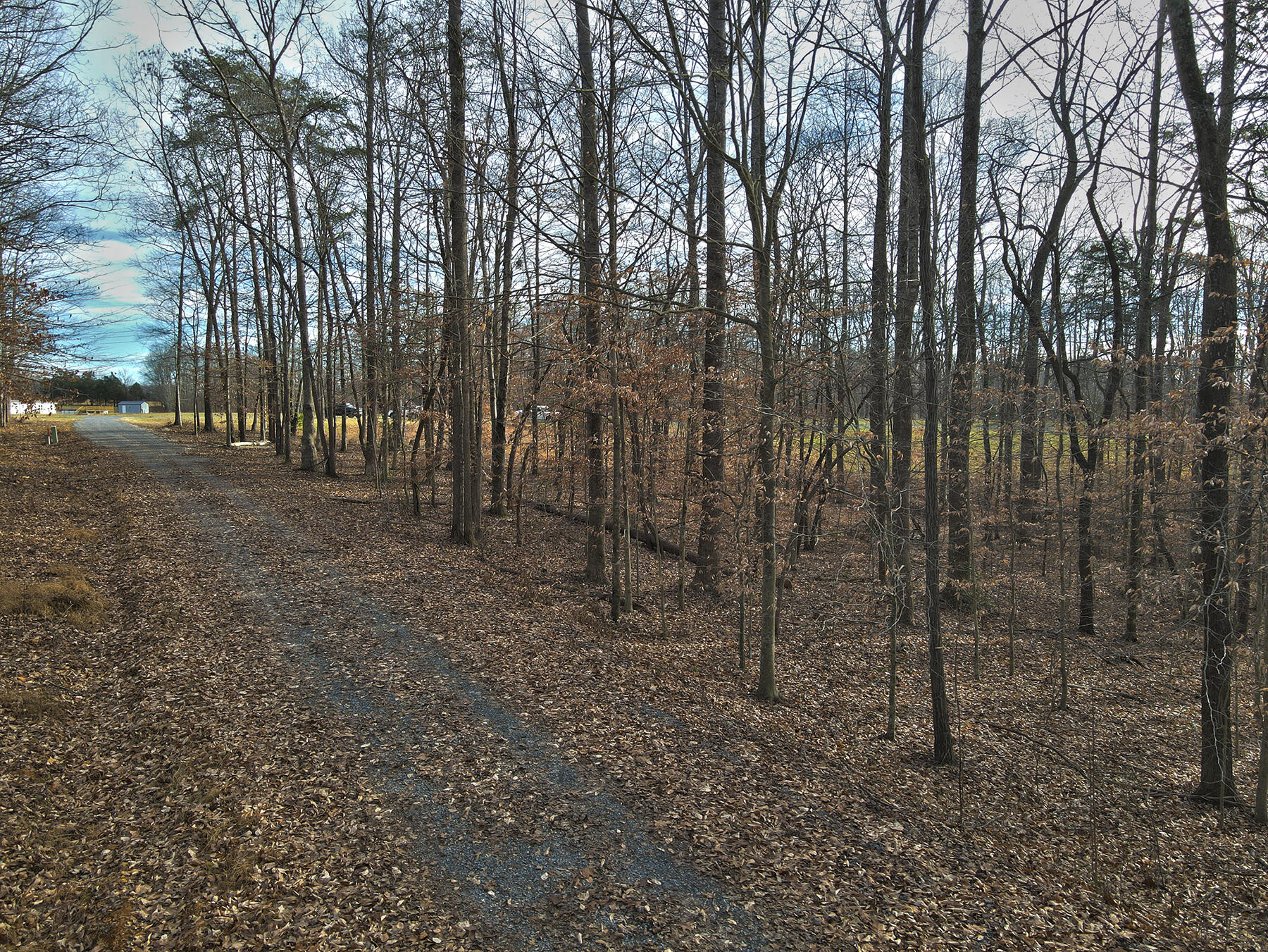 32 Dockery Road Property Photo 5