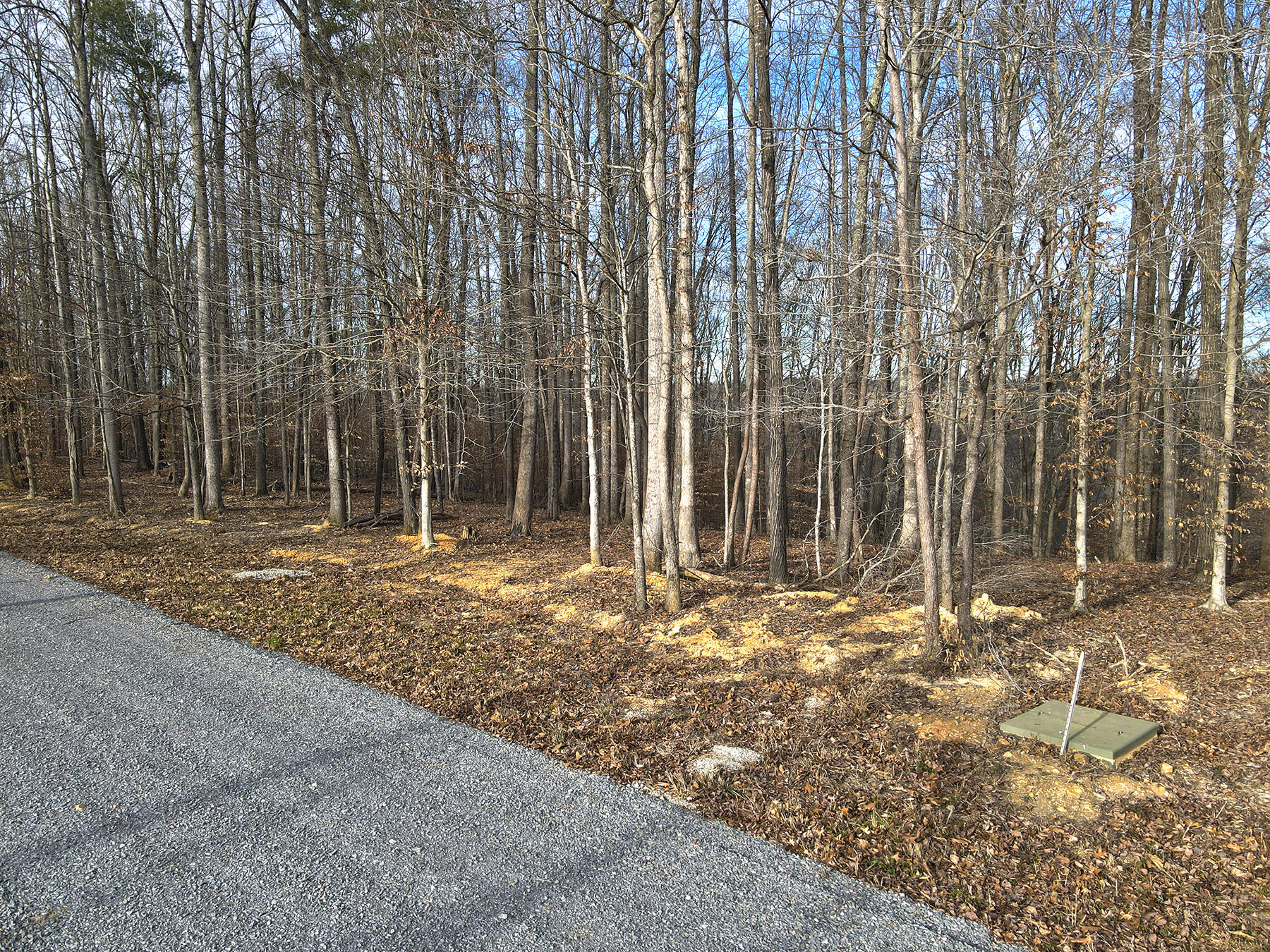 32 Dockery Road Property Photo 6