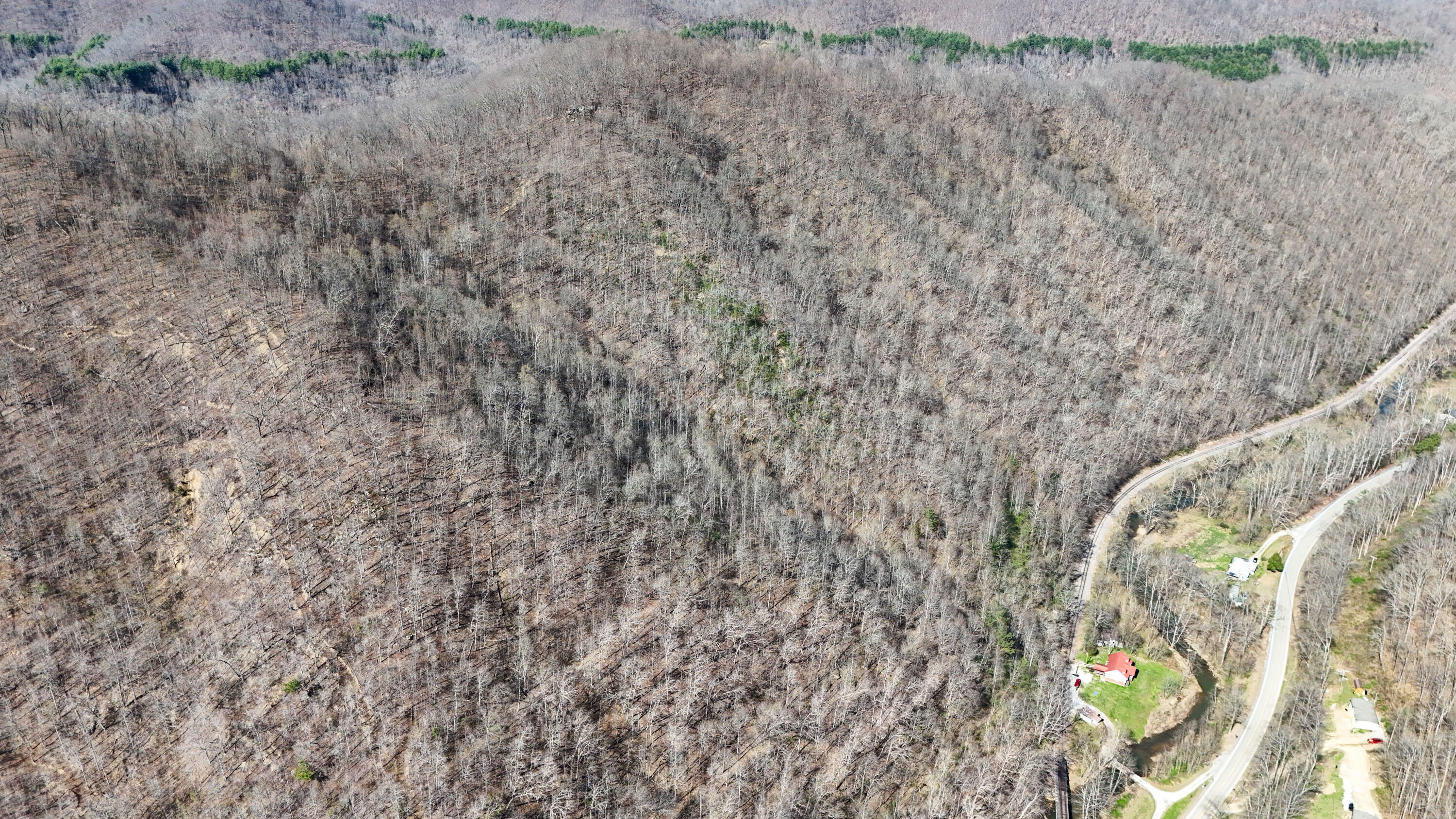 5930 Ky-11 Property Photo 111
