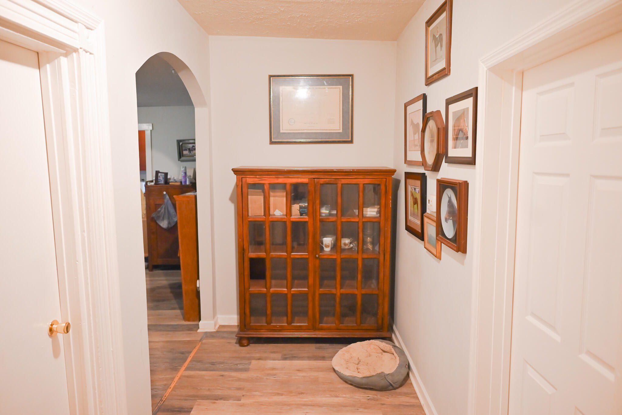 319 Lilleston Avenue Property Photo 7