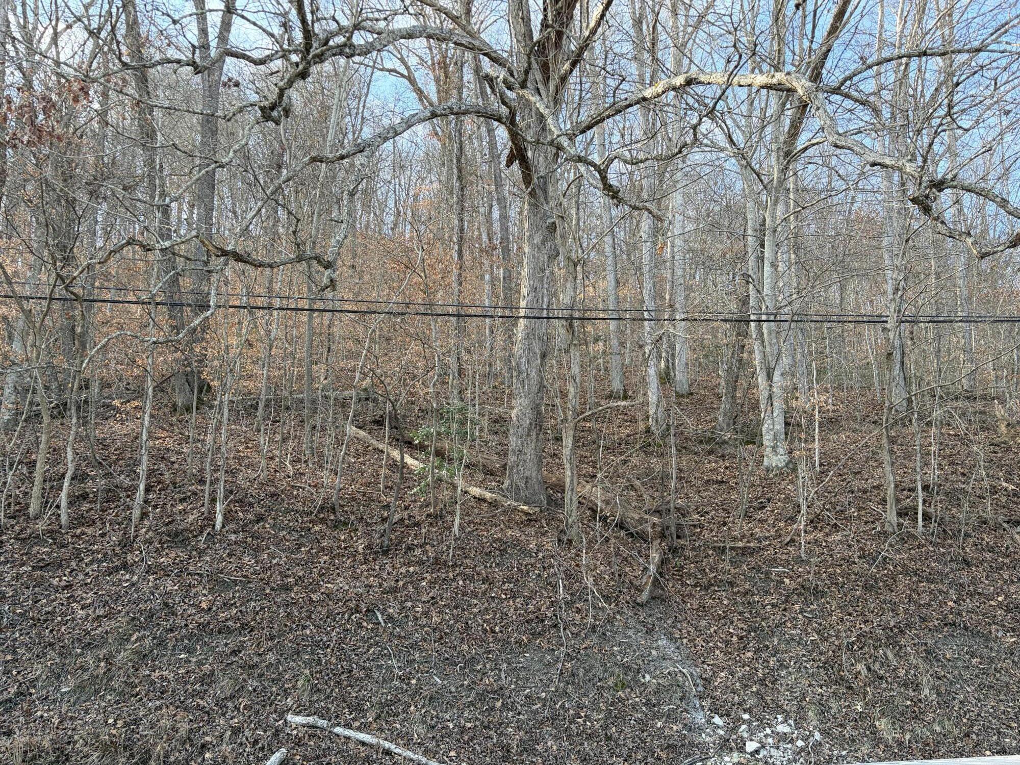 00 Campton Road Property Photo 2