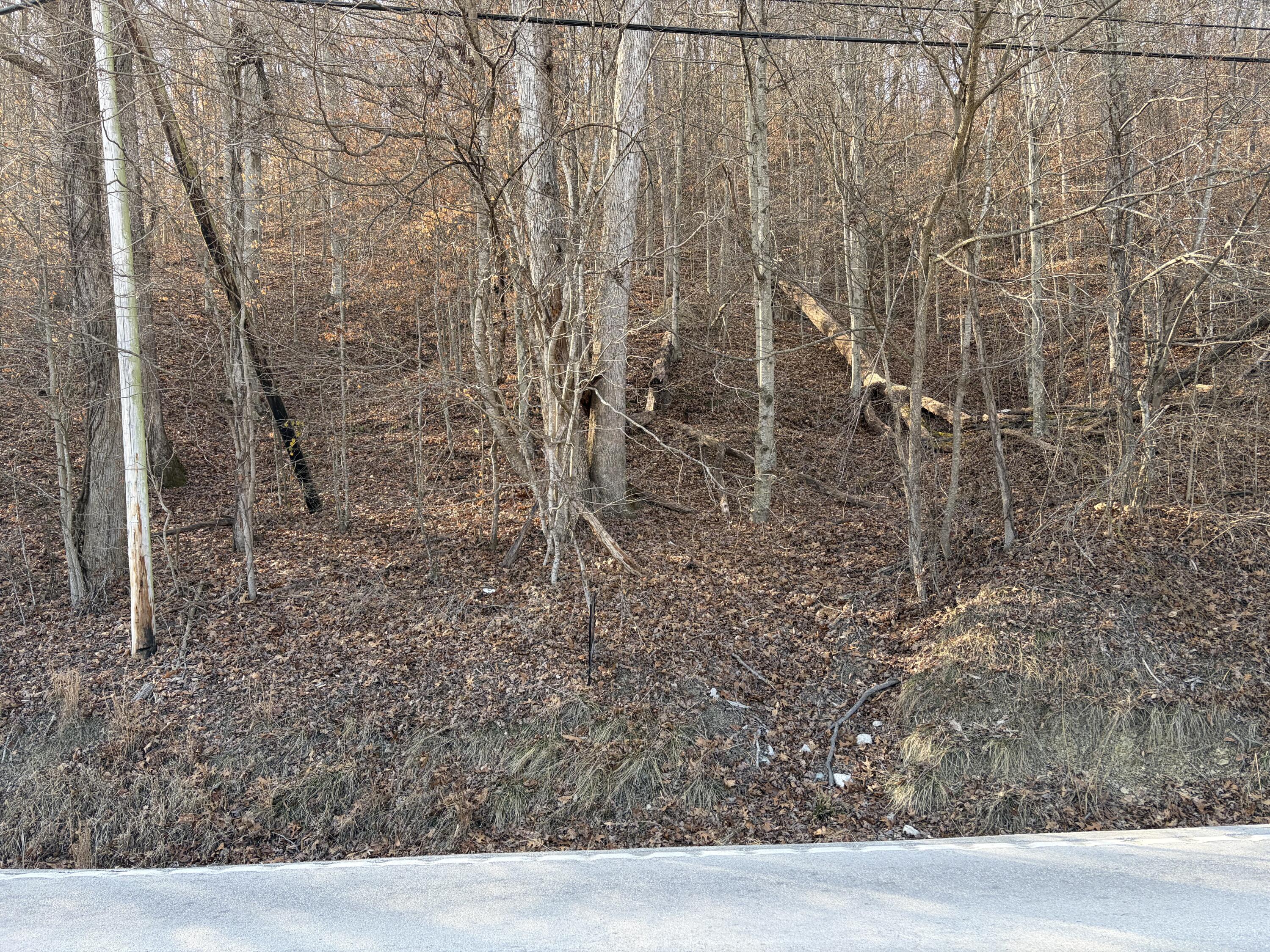00 Campton Road Property Photo 5
