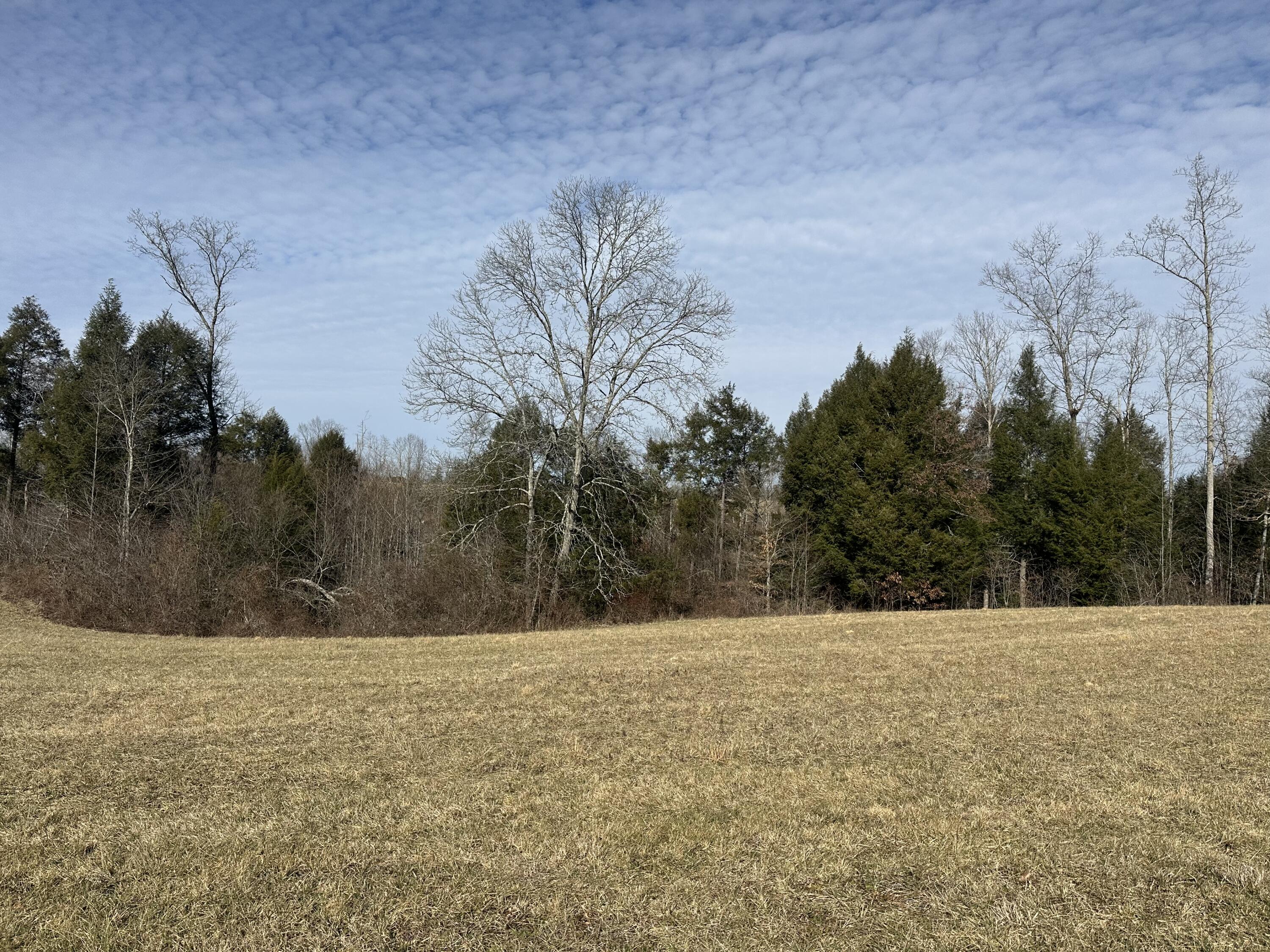 9b Baldwin Road Property Photo 3