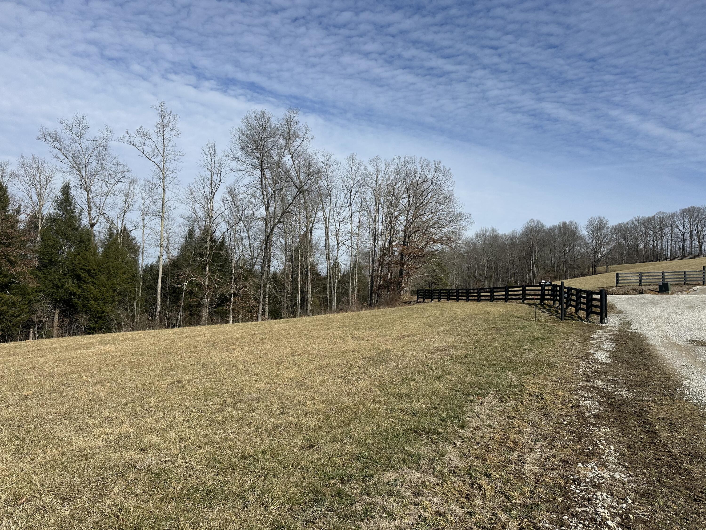9b Baldwin Road Property Photo 4