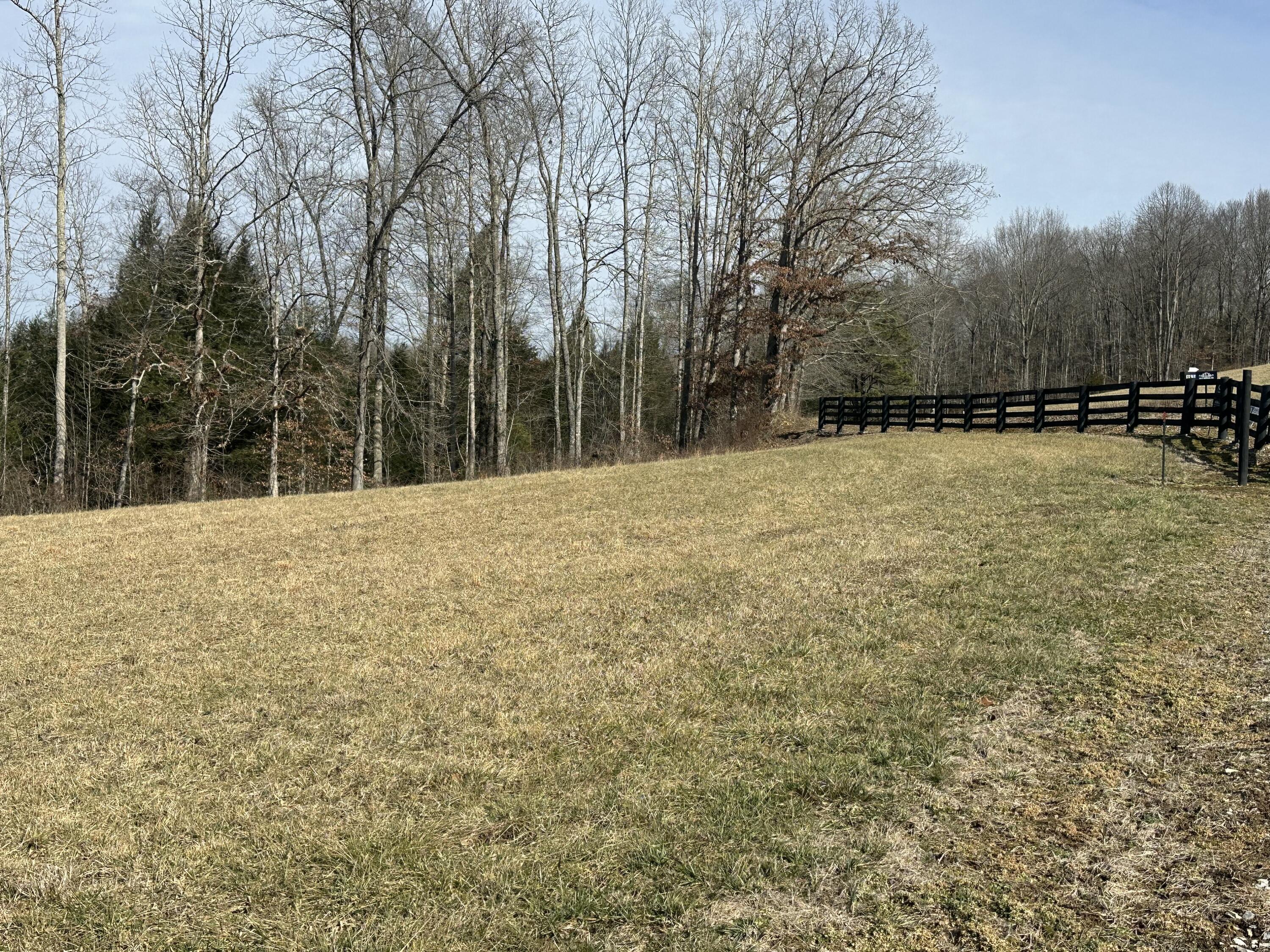 9b Baldwin Road Property Photo 5