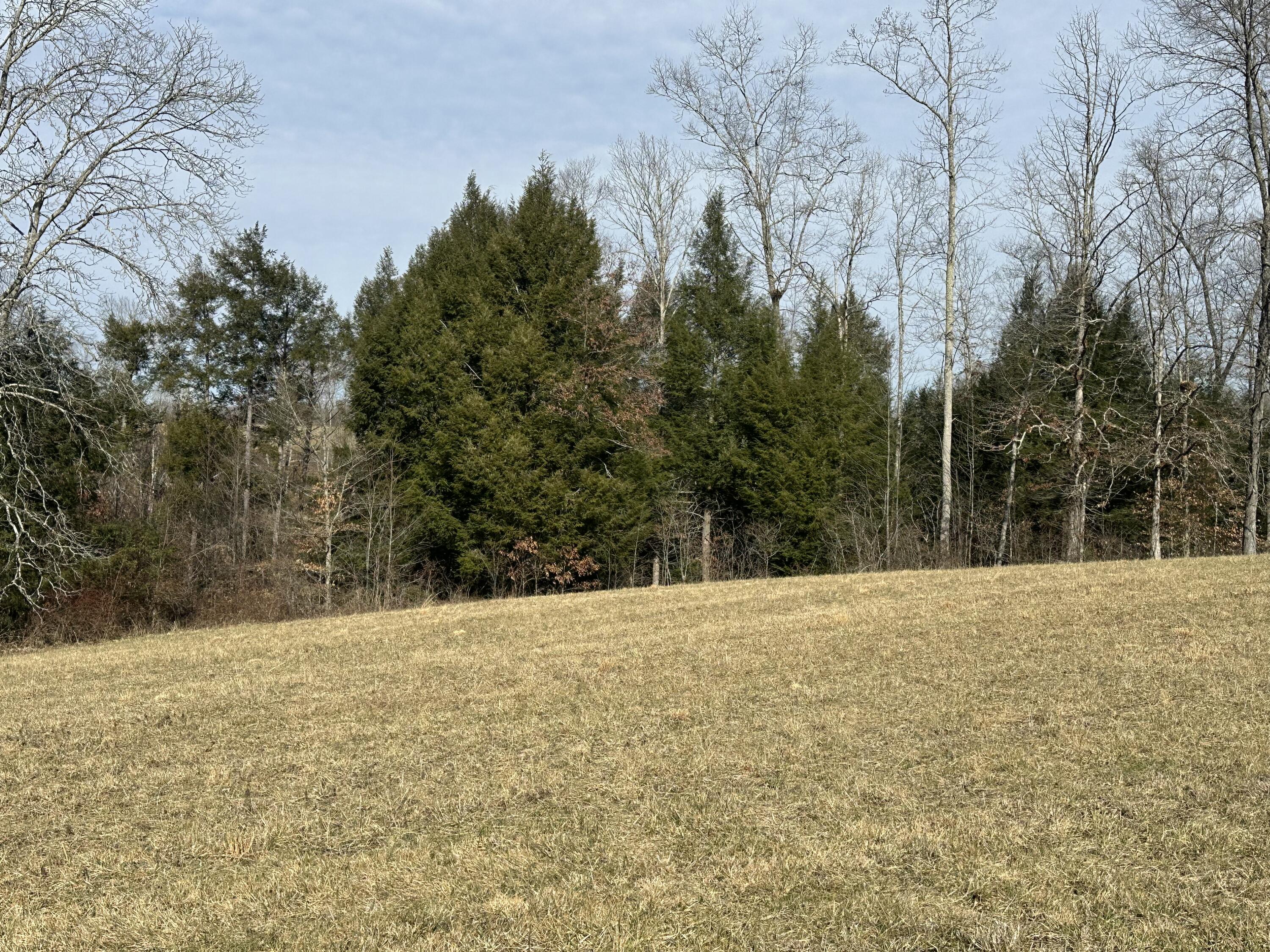 9b Baldwin Road Property Photo 6