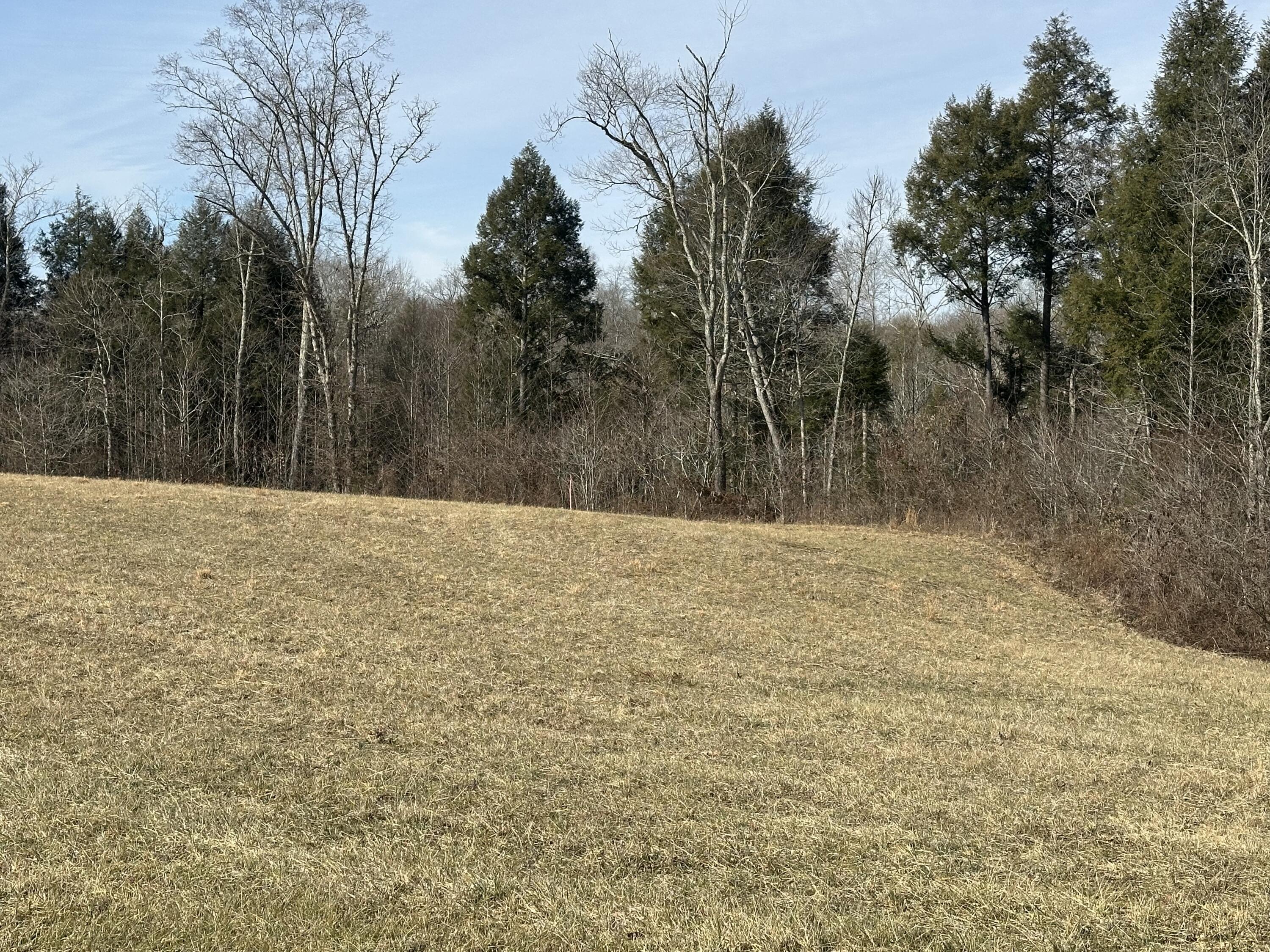 9b Baldwin Road Property Photo 8