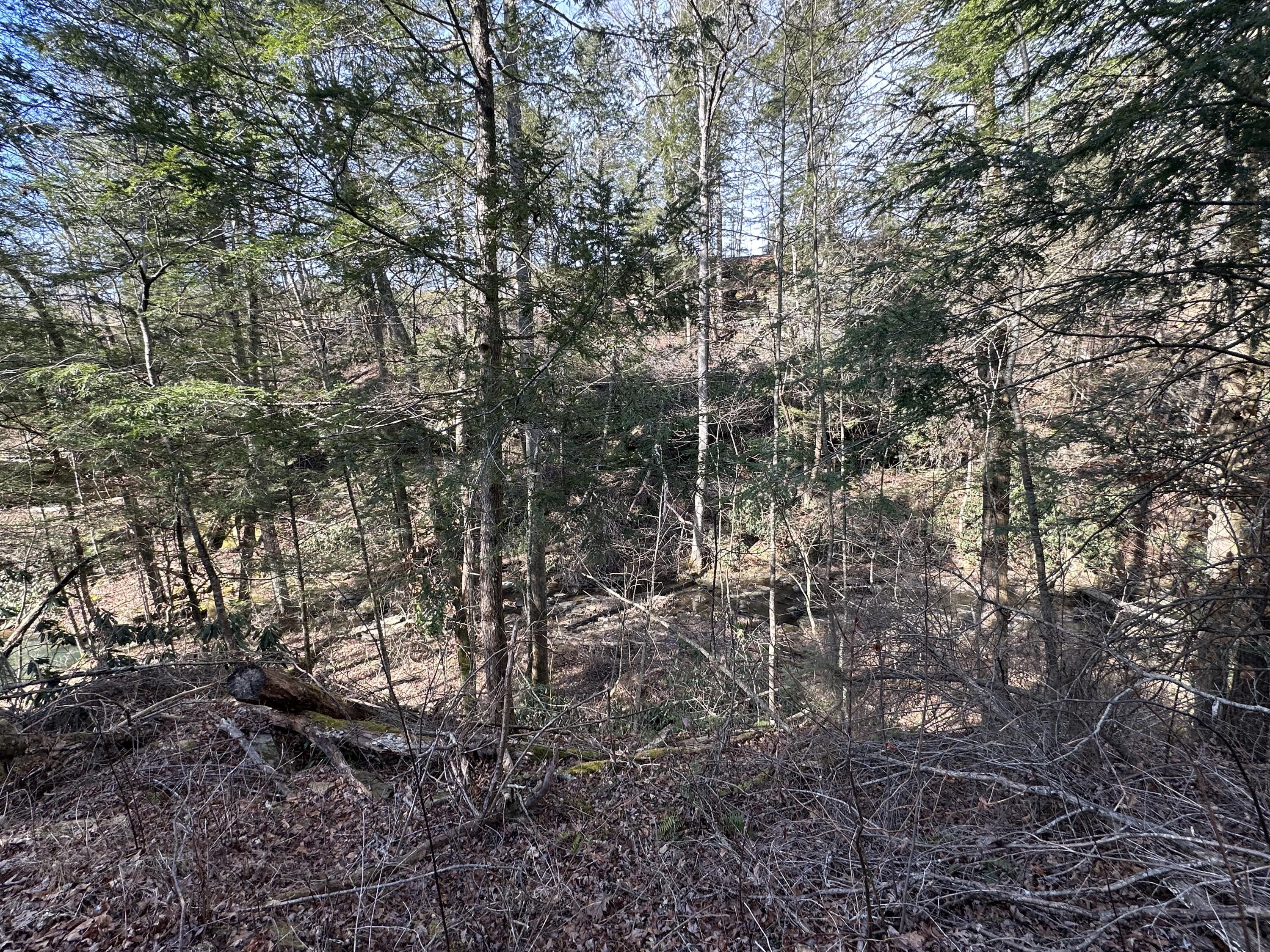9c Baldwin Road 9c Property Photo 22