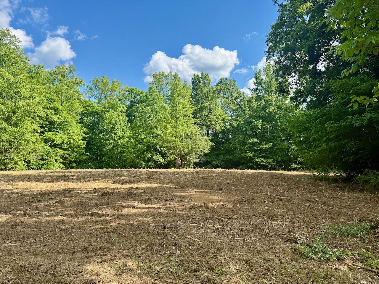 Lot 16 Twin Creeks Loop Property Photo 10