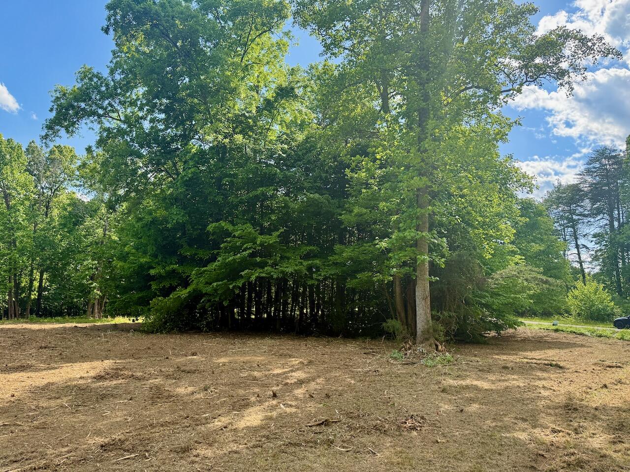Lot 16 Twin Creeks Loop Property Photo 11