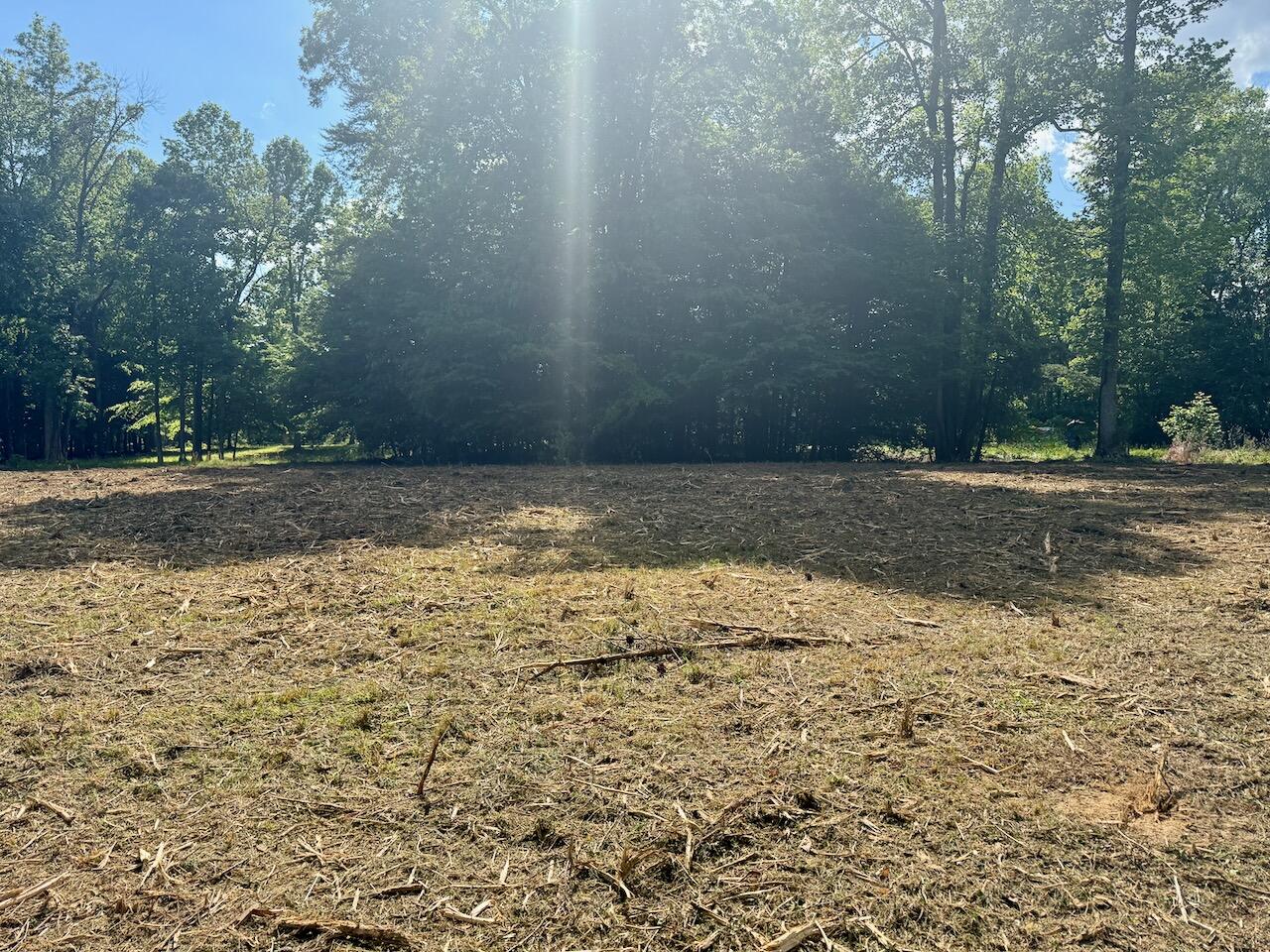 Lot 16 Twin Creeks Loop Property Photo 13