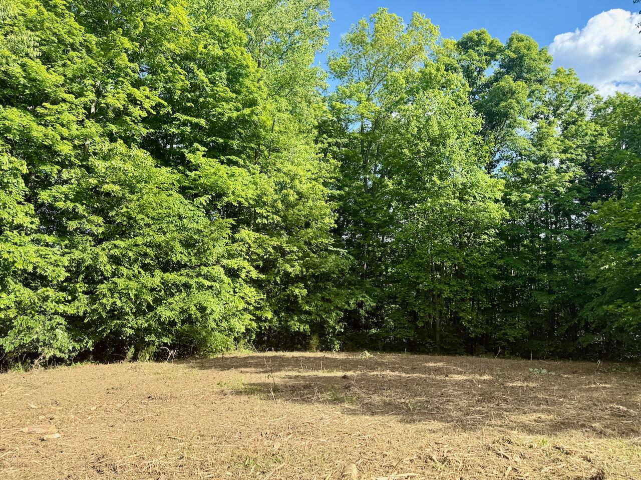 Lot 16 Twin Creeks Loop Property Photo 14