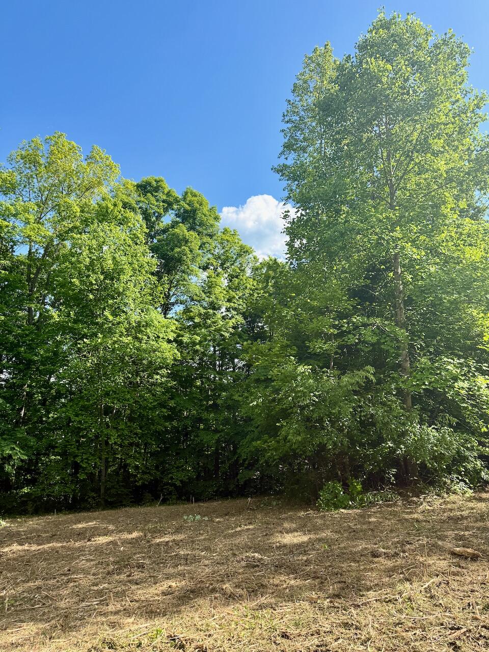 Lot 16 Twin Creeks Loop Property Photo 15
