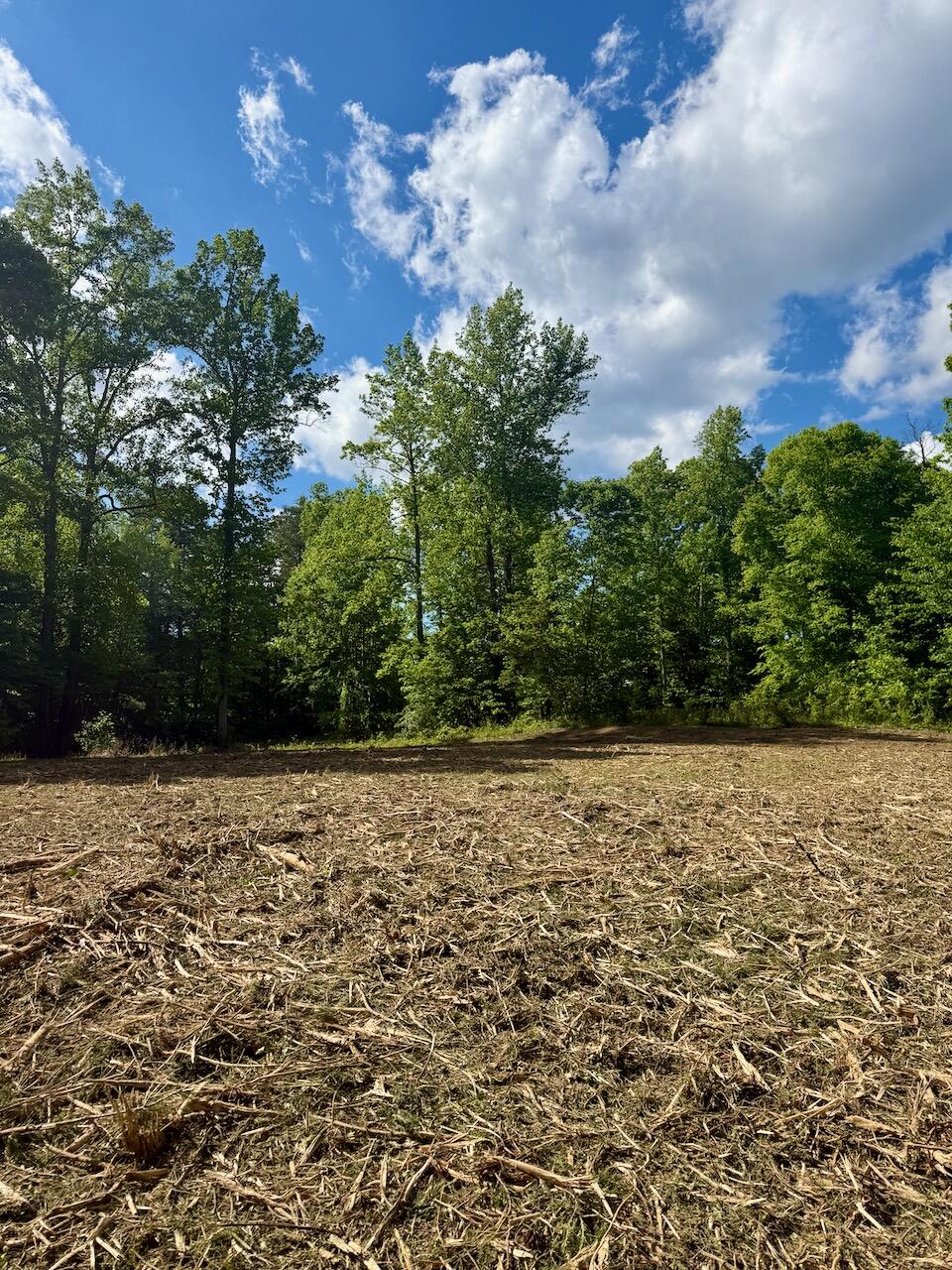 Lot 16 Twin Creeks Loop Property Photo 17
