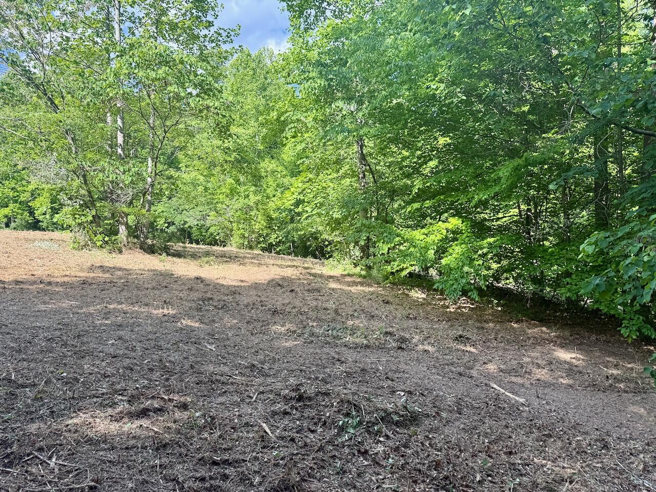 Lot 16 Twin Creeks Loop Property Photo 19