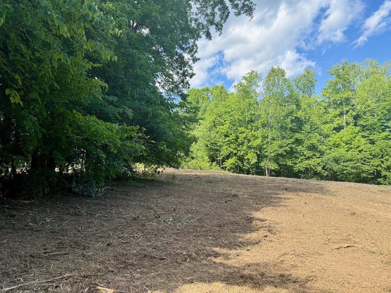 Lot 16 Twin Creeks Loop Property Photo 20