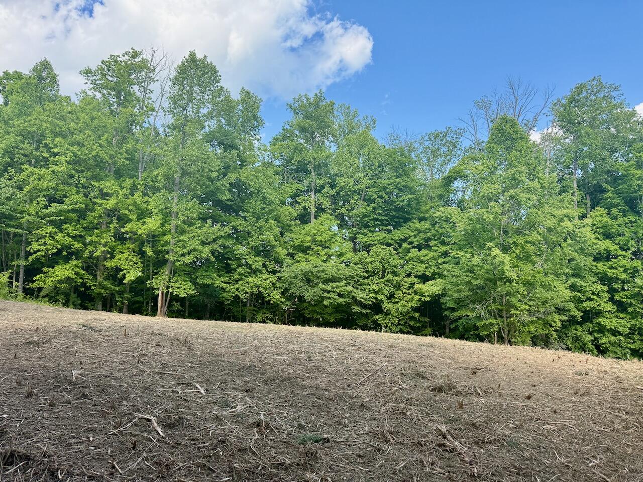 Lot 16 Twin Creeks Loop Property Photo 23