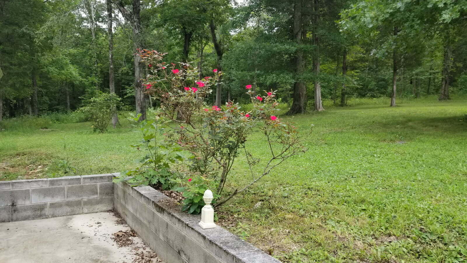 111 Natures Way Property Photo 18